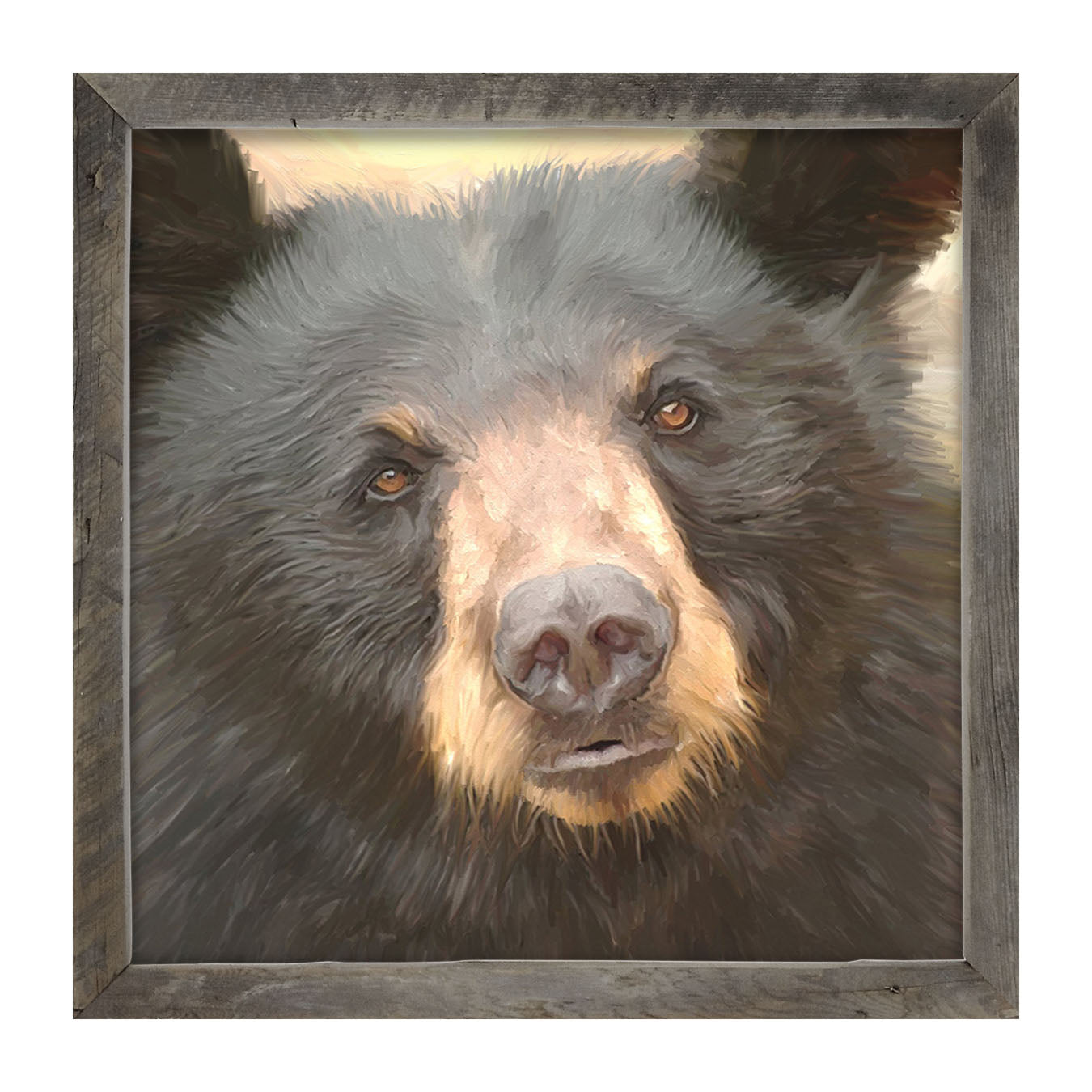 Black Bear - Framed art