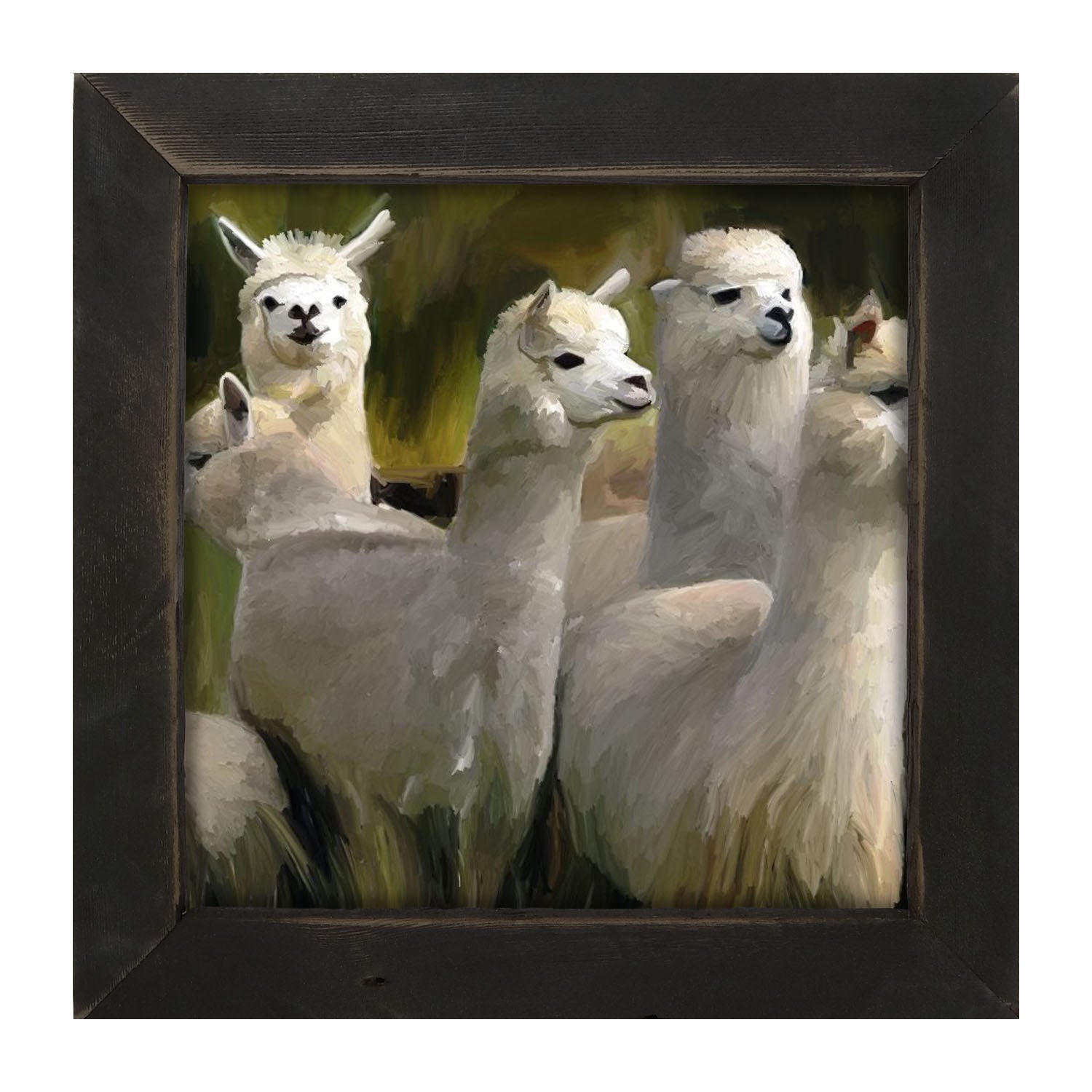 Herd of Alpacas- Framed art