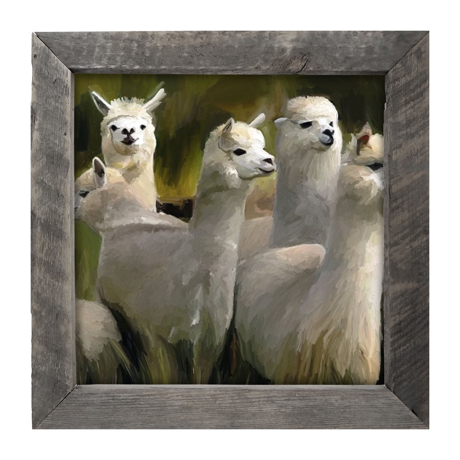 Herd of Alpacas- Framed art