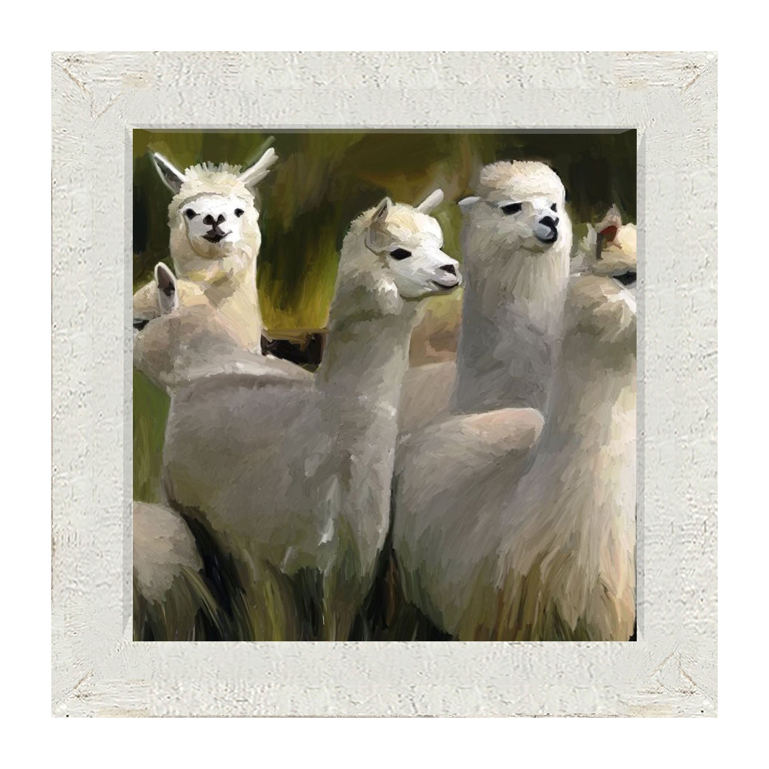 Herd of Alpacas- Framed art