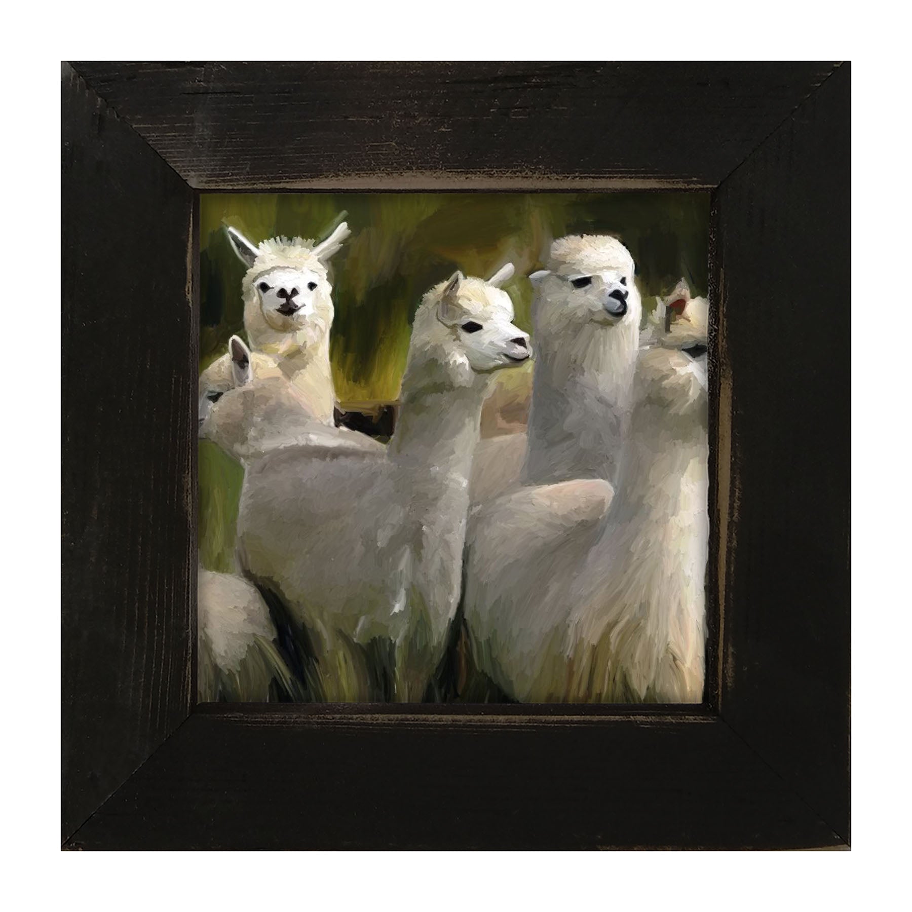 Herd of Alpacas- Framed art