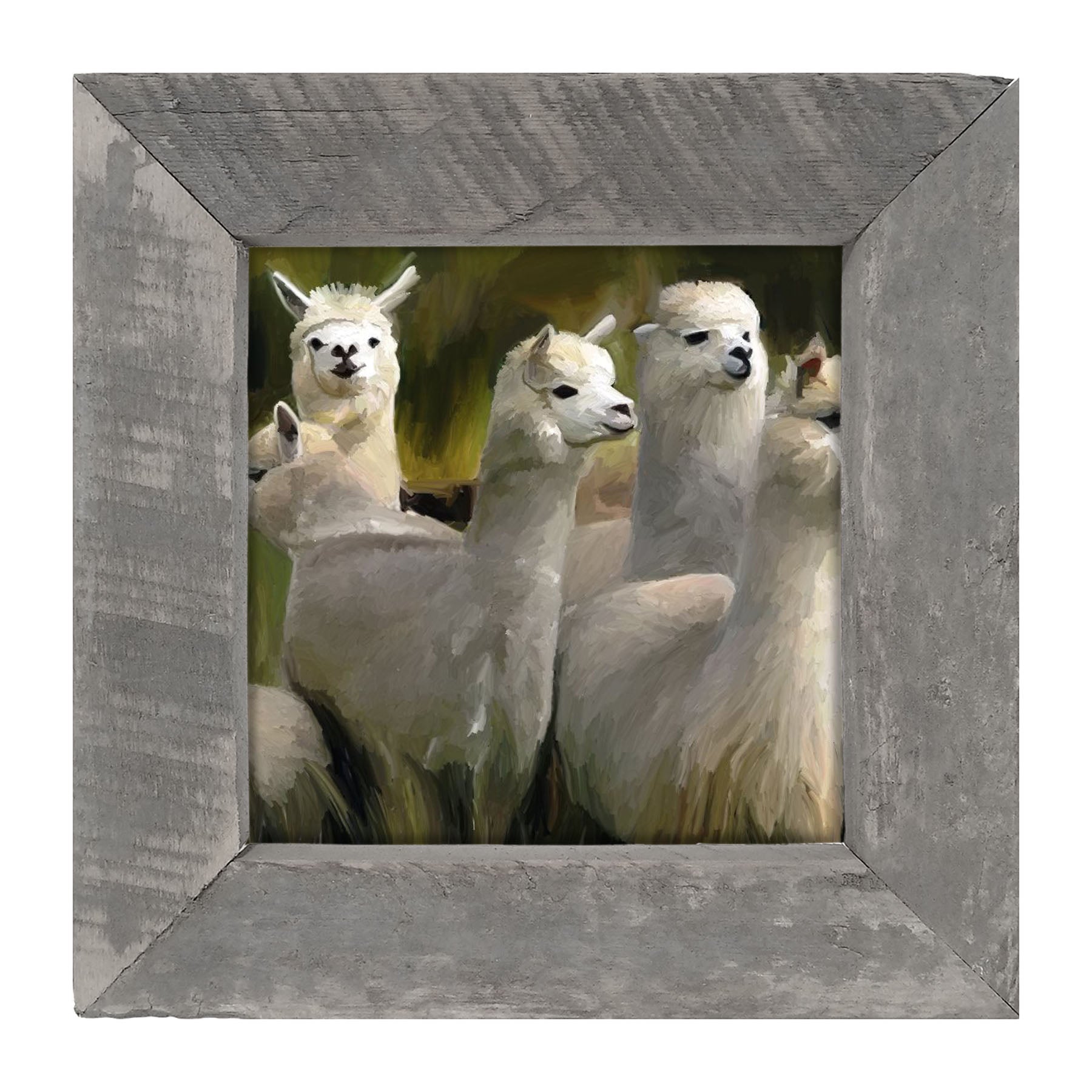 Herd of Alpacas- Framed art
