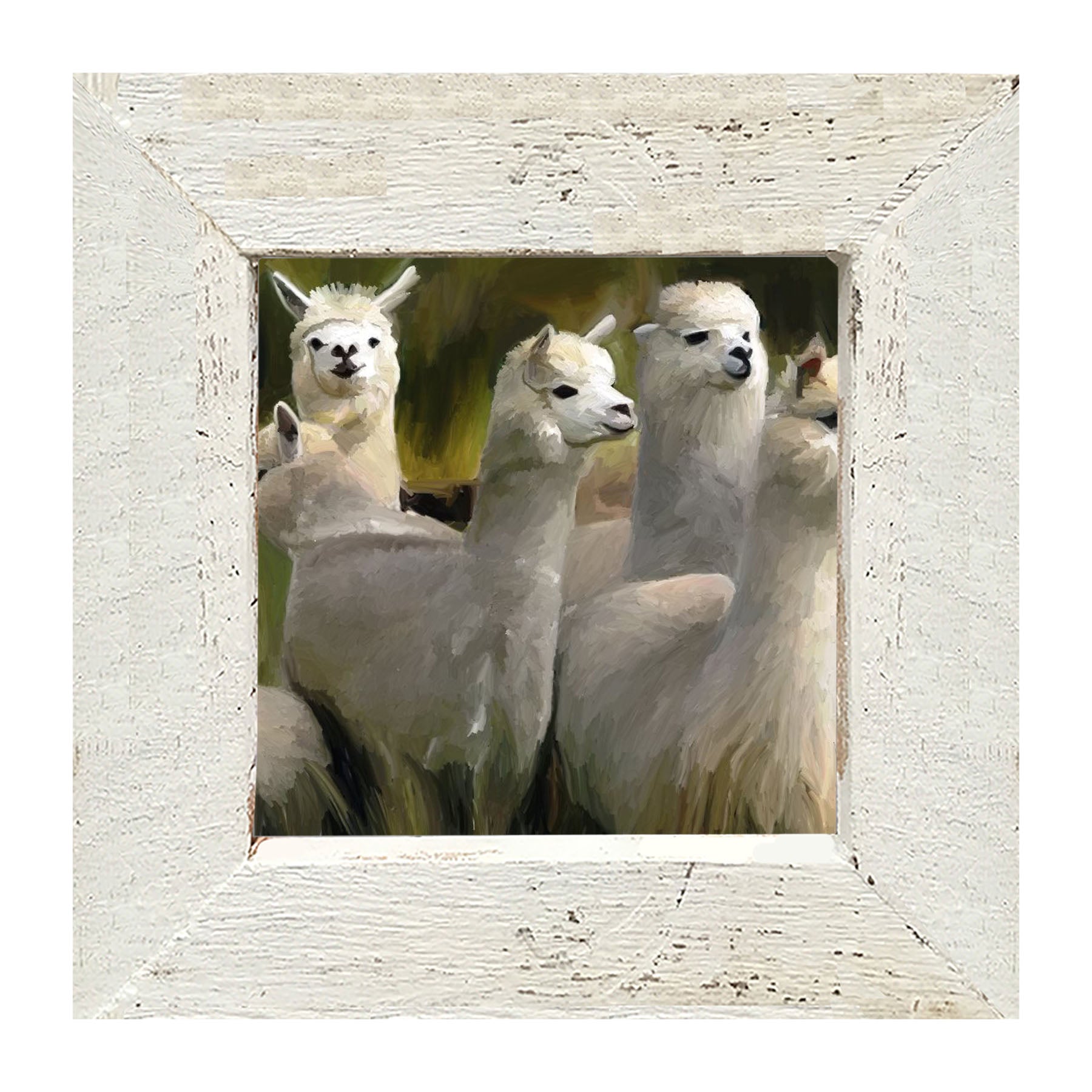 Herd of Alpacas- Framed art
