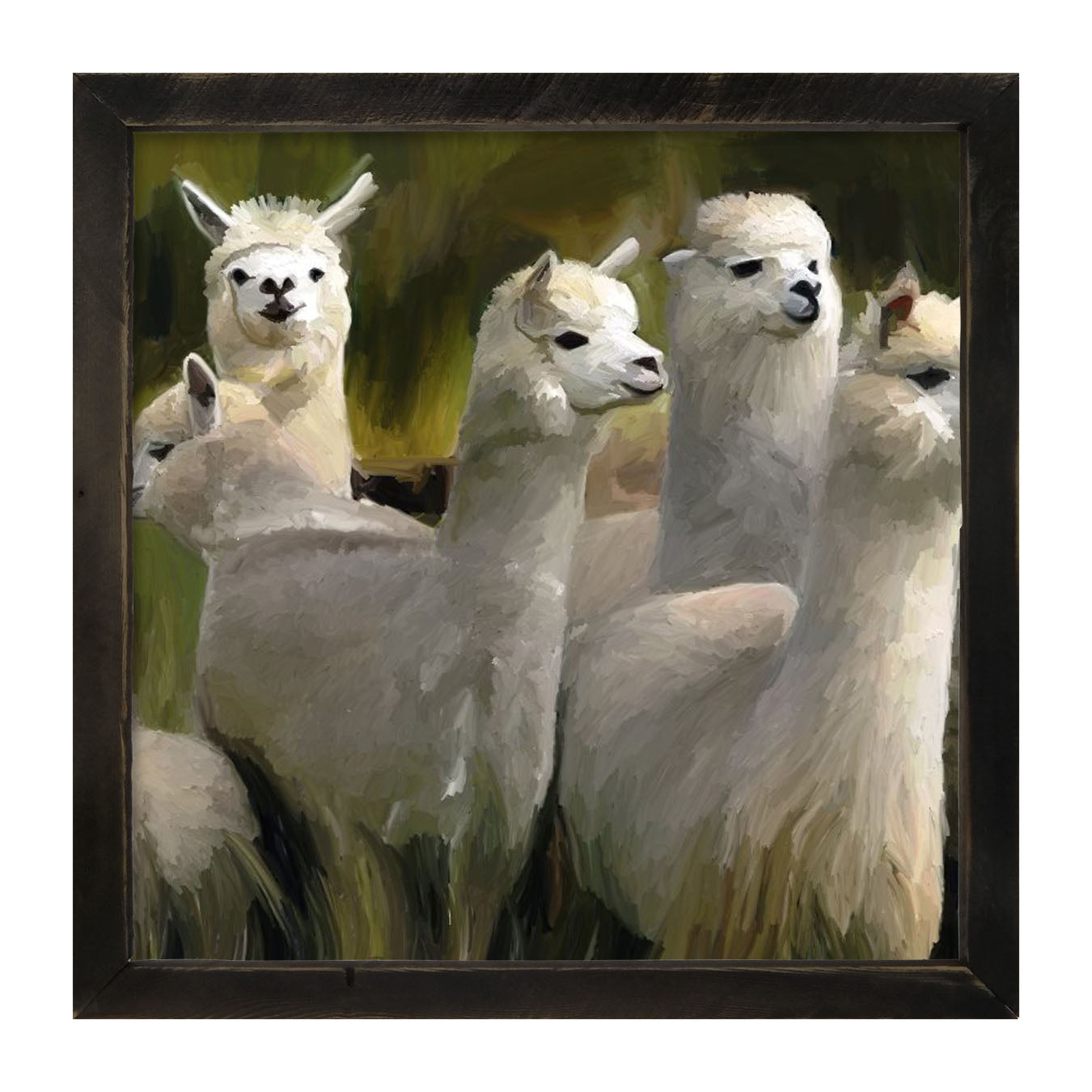 Herd of Alpacas- Framed art