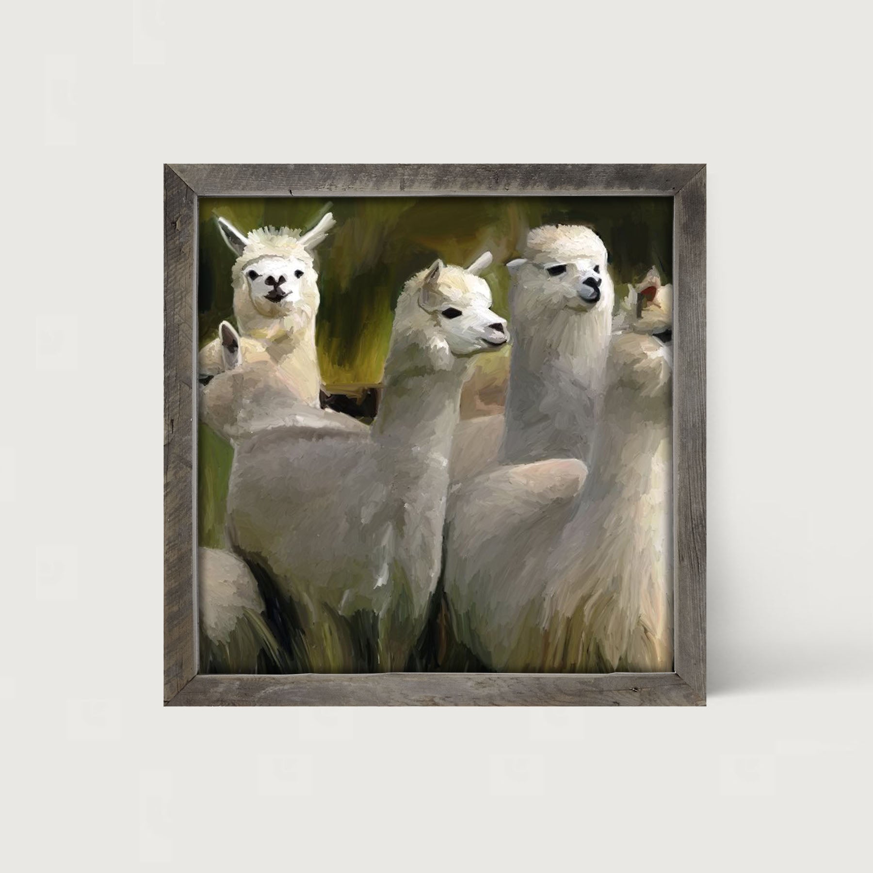Herd of Alpacas- Framed art