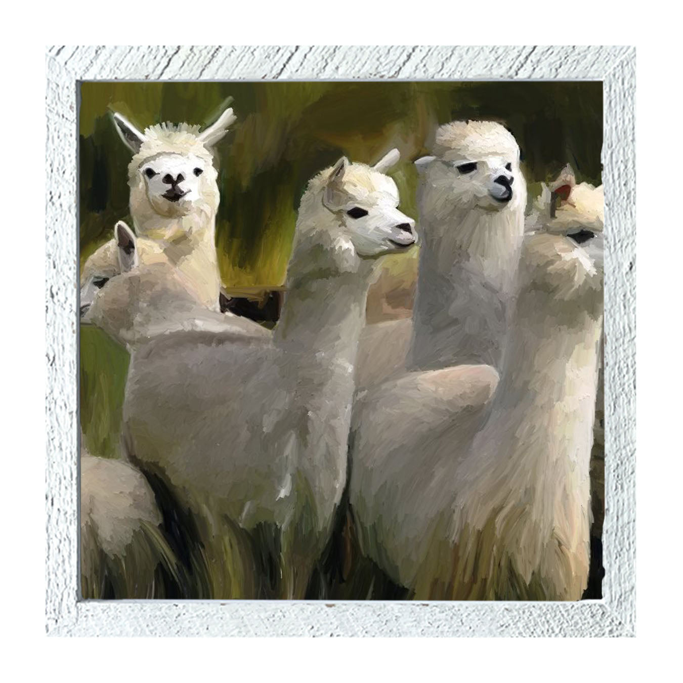 Herd of Alpacas- Framed art