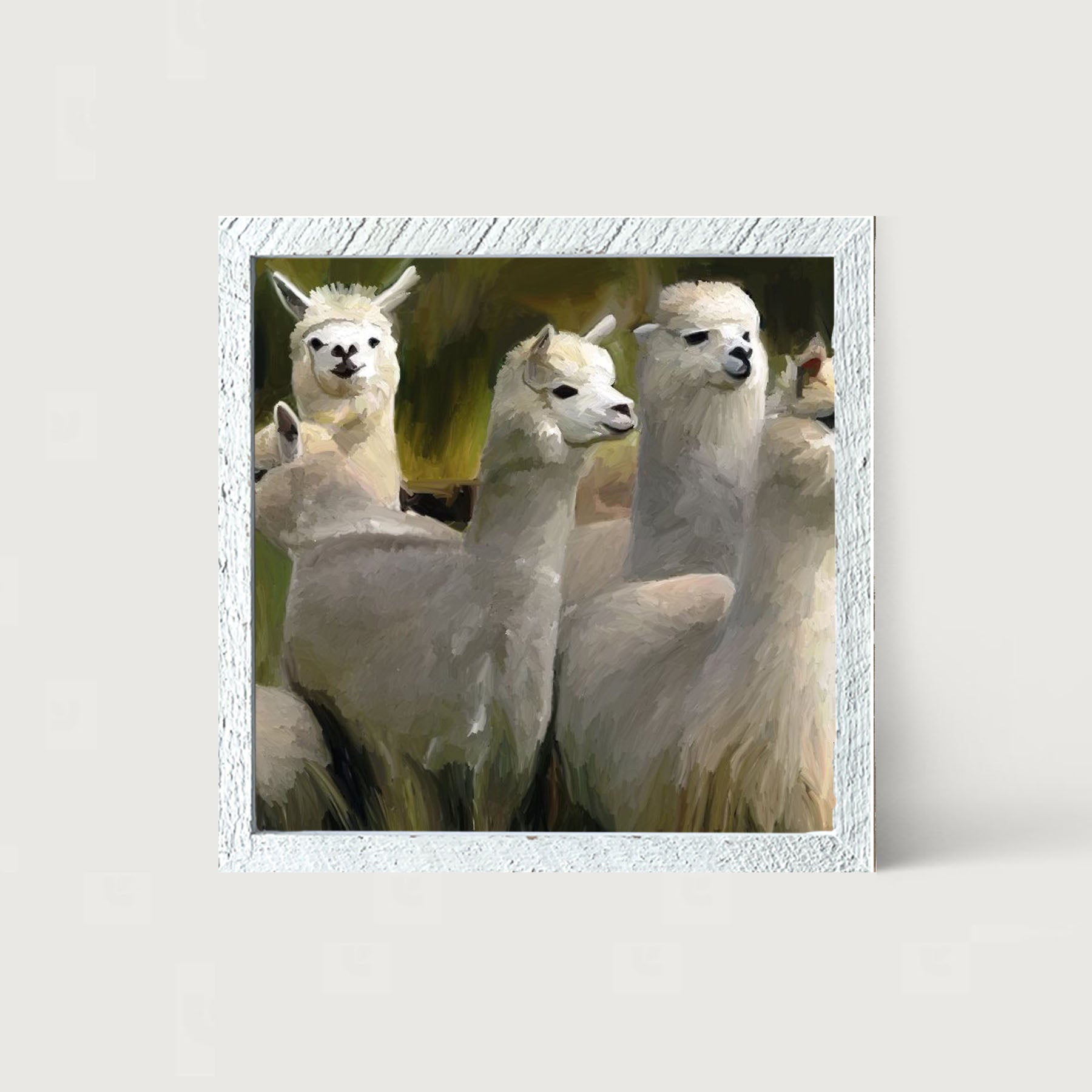 Herd of Alpacas- Framed art