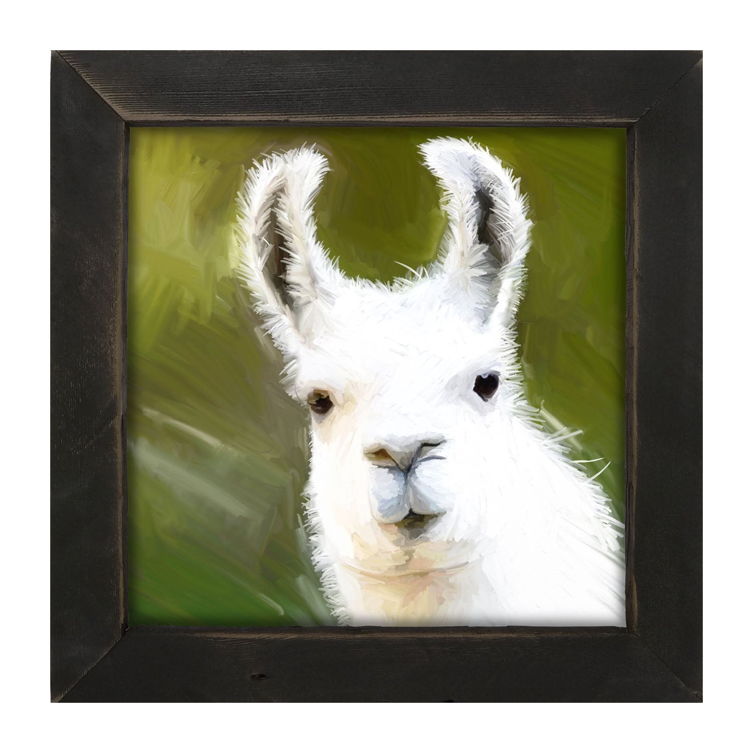 Curious Alpaca - Framed art