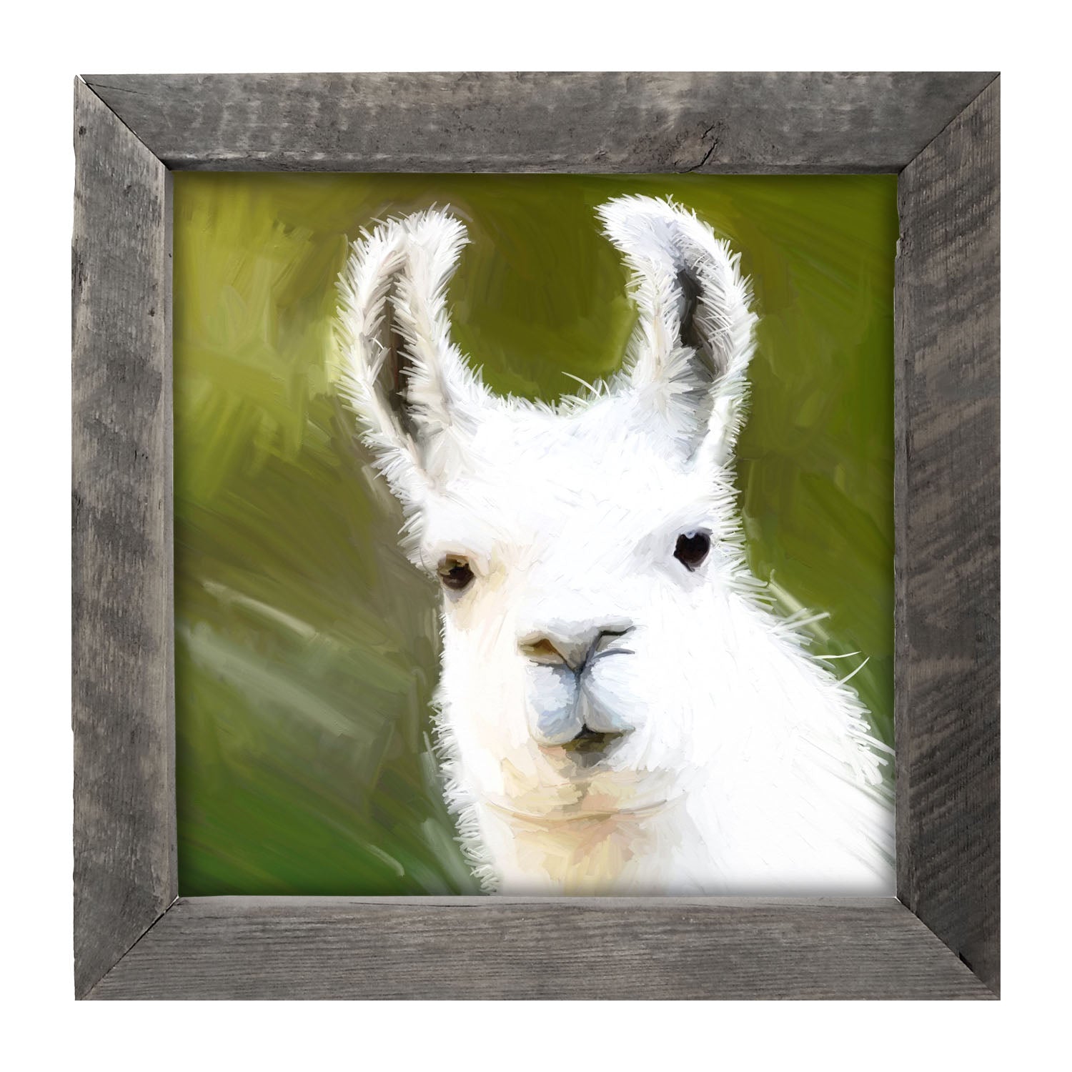 Curious Alpaca - Framed art