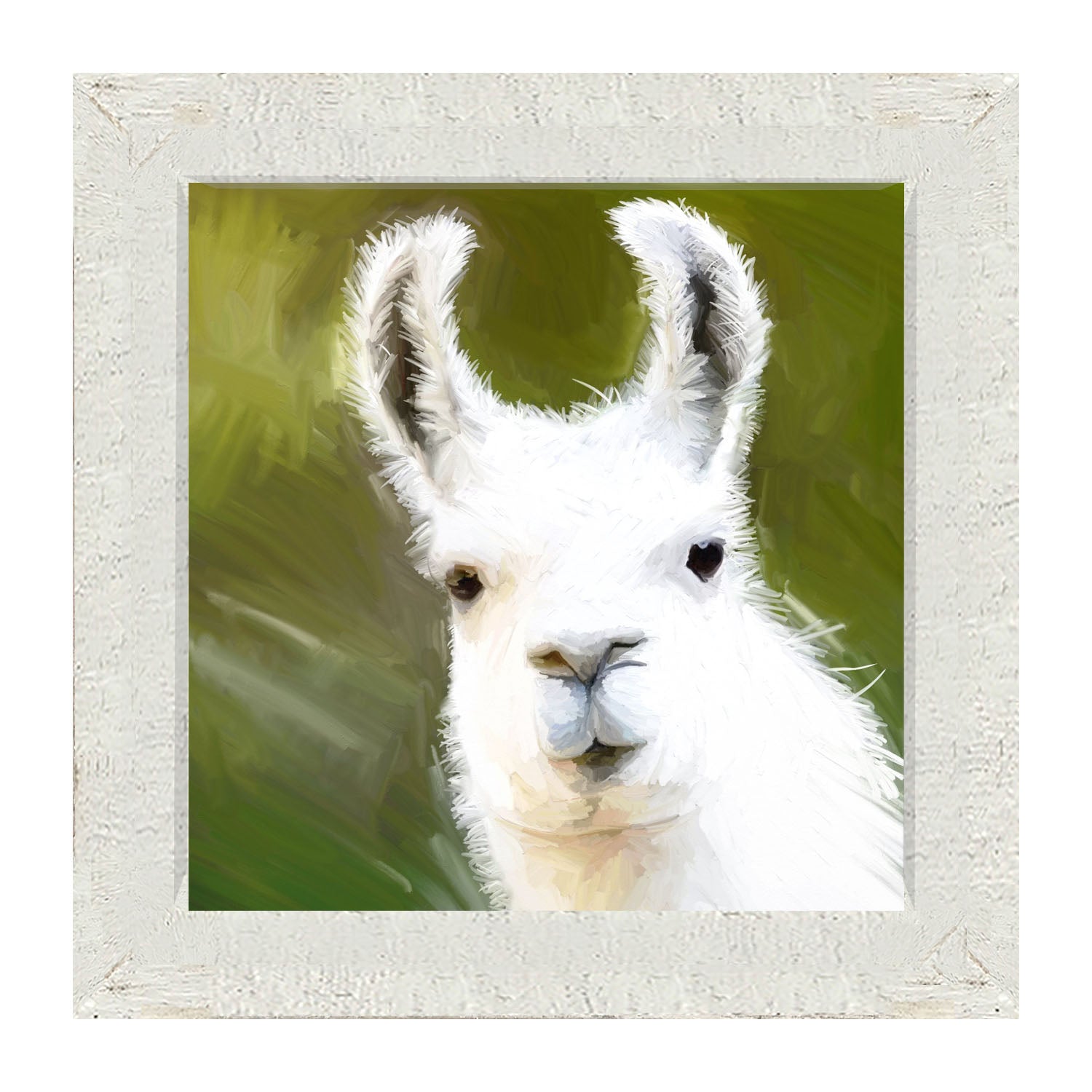 Curious Alpaca - Framed art