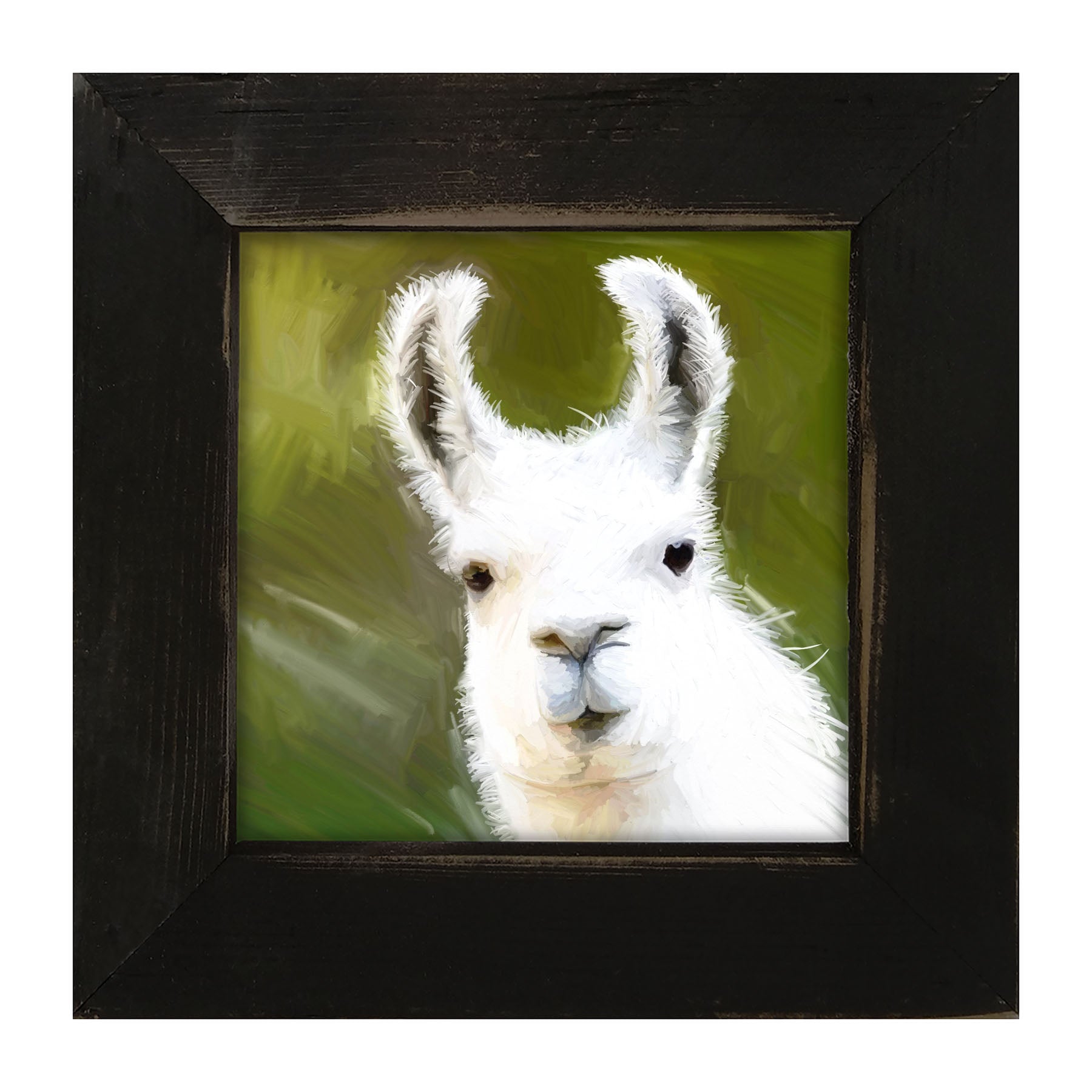 Curious Alpaca - Framed art