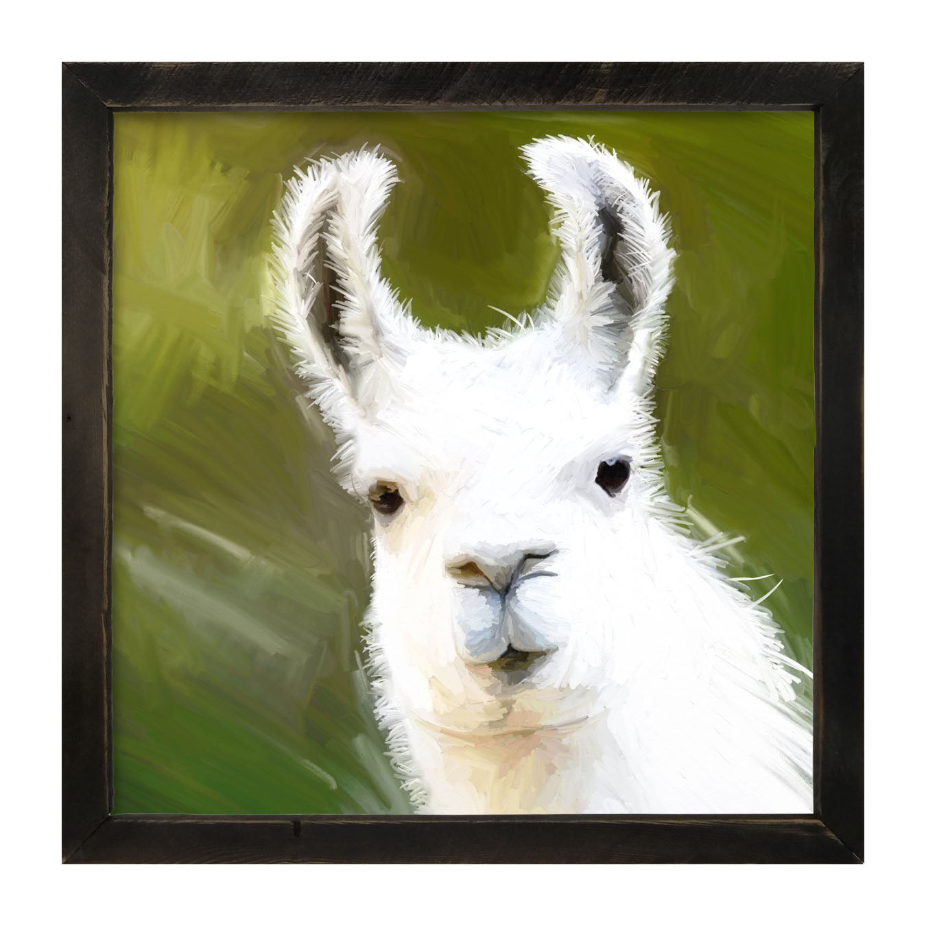 Curious Alpaca - Framed art