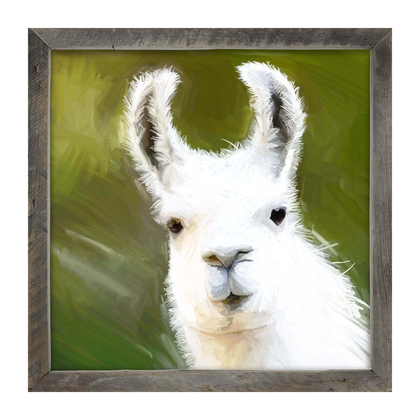 Curious Alpaca - Framed art