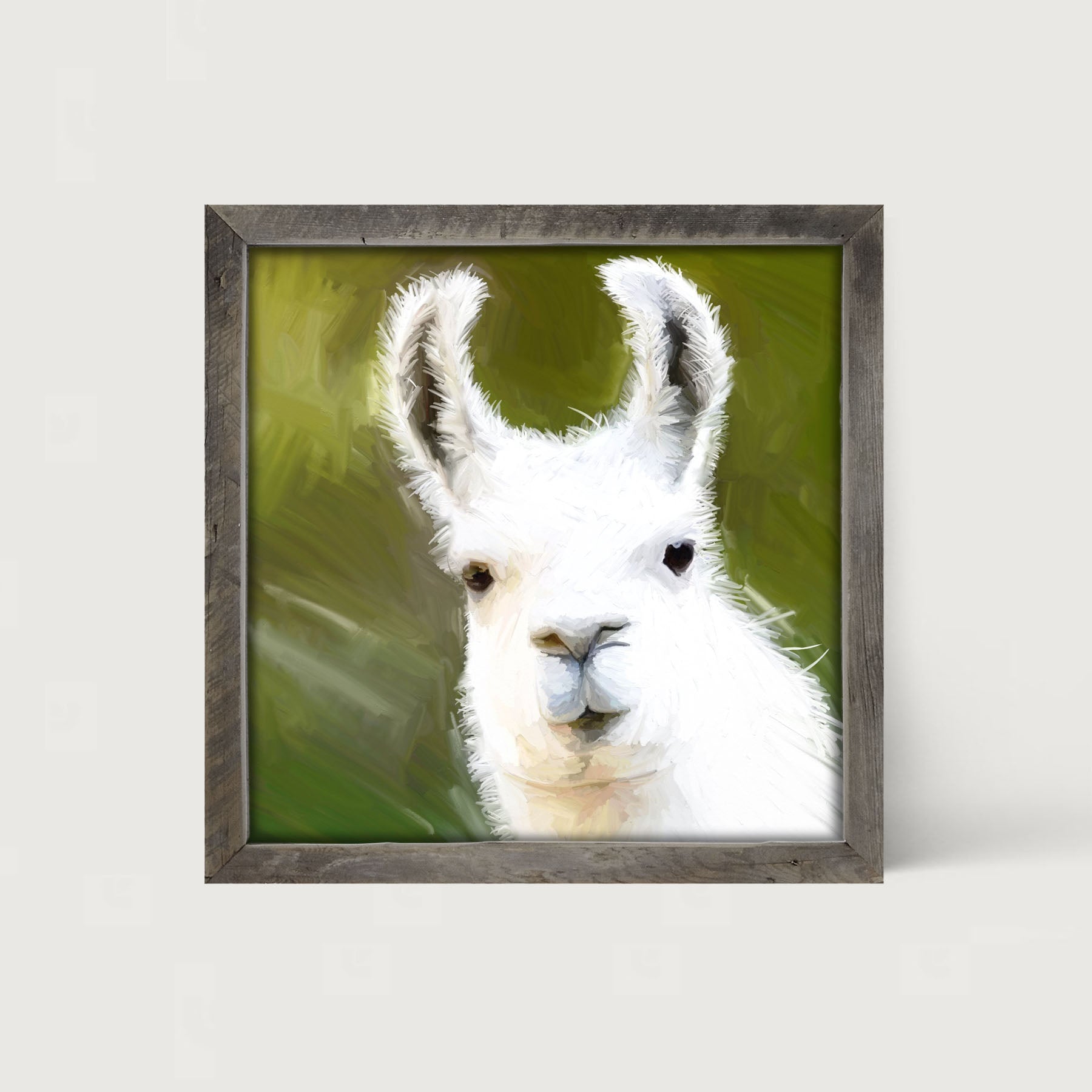 Curious Alpaca - Framed art