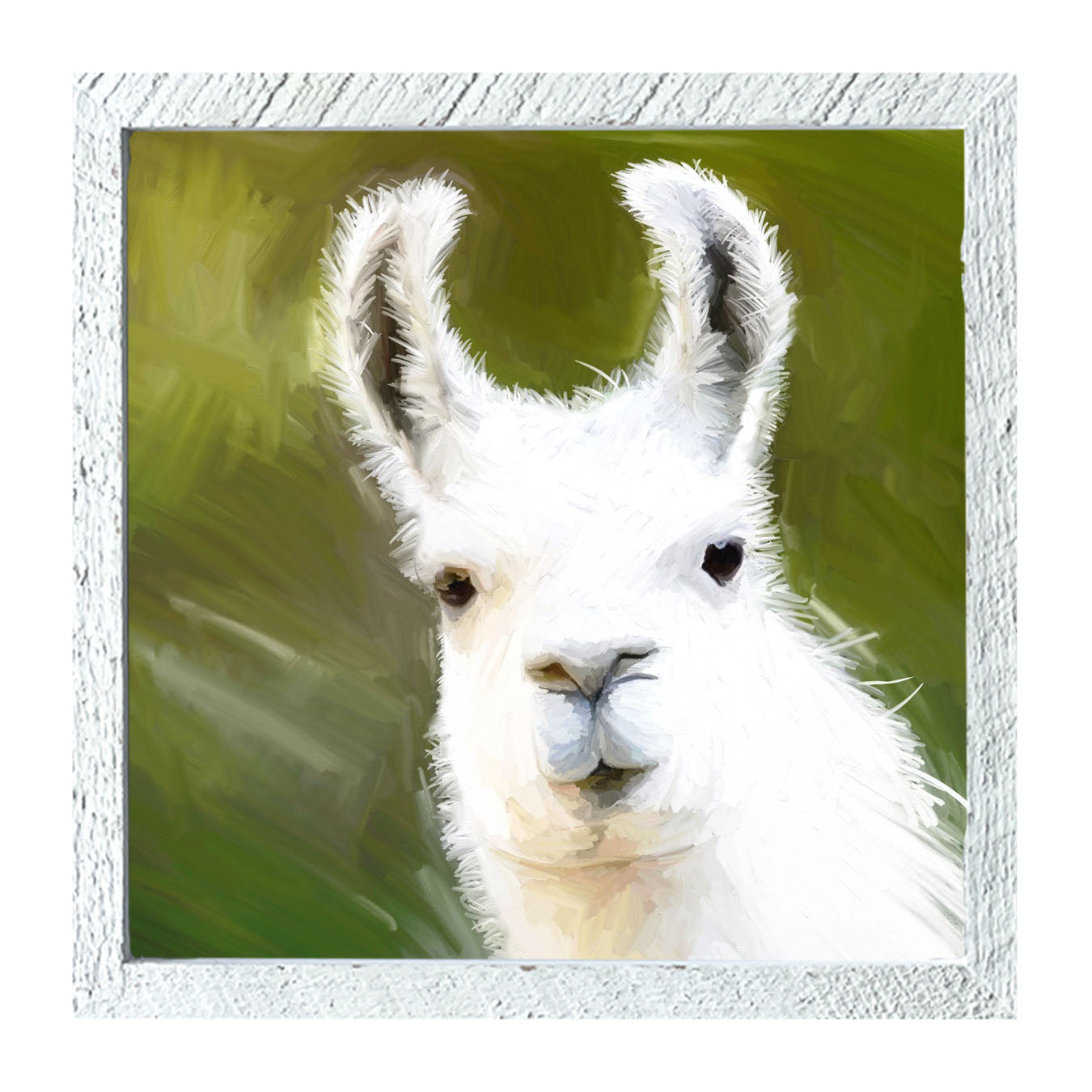 Curious Alpaca - Framed art