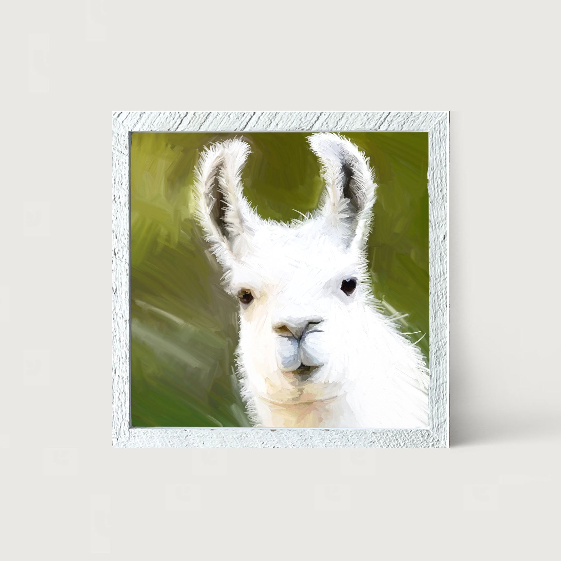 Curious Alpaca - Framed art