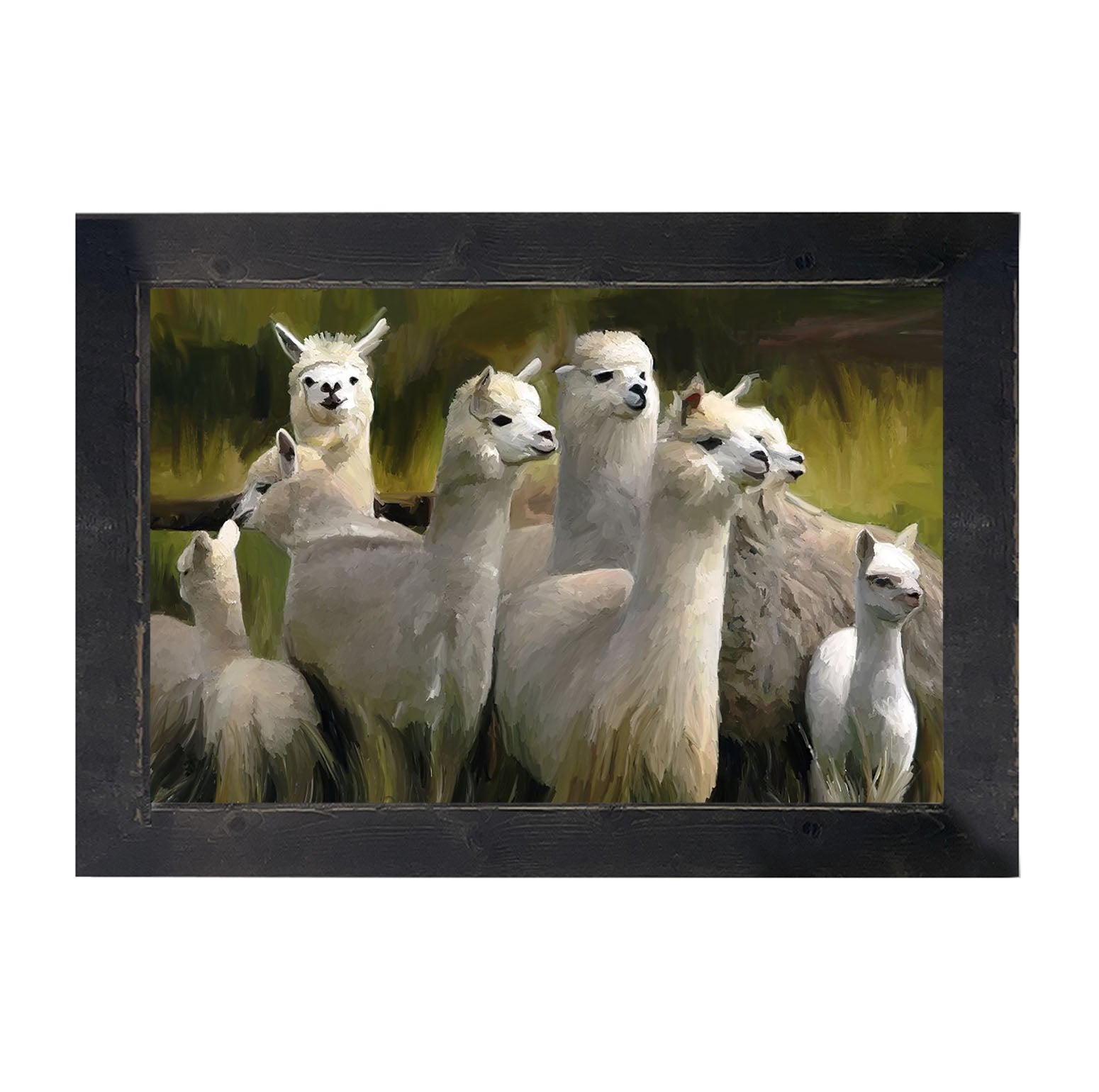 Herd of Alpacas- Framed art