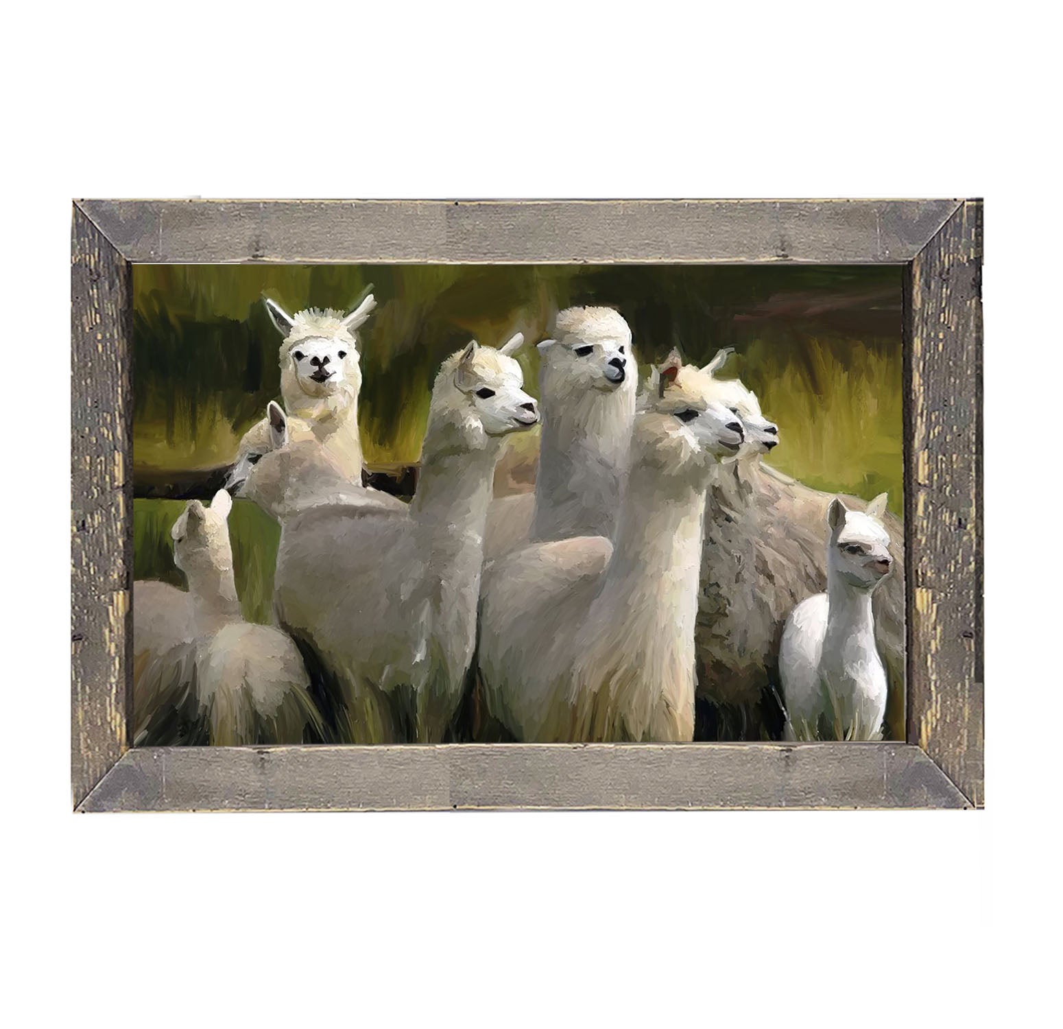Herd of Alpacas- Framed art