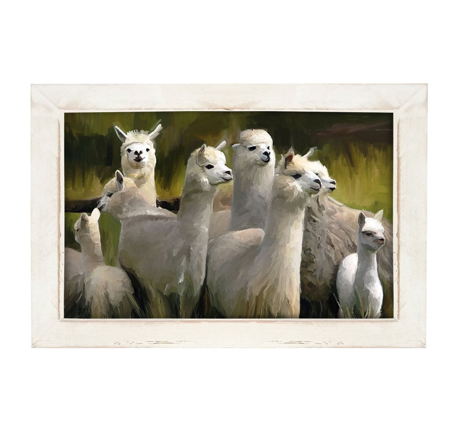 Herd of Alpacas- Framed art