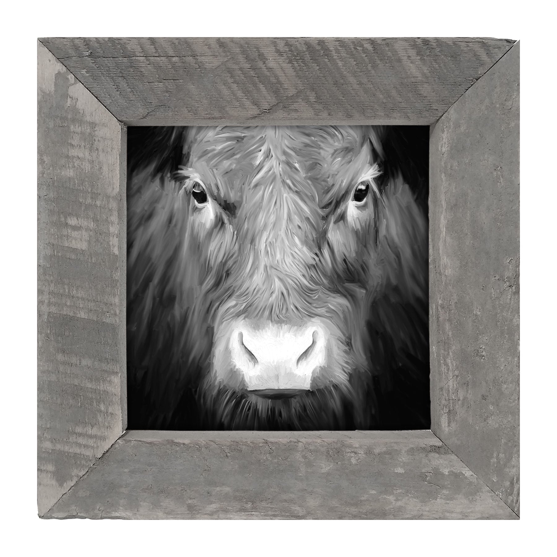 Black and White Cow - Framed art