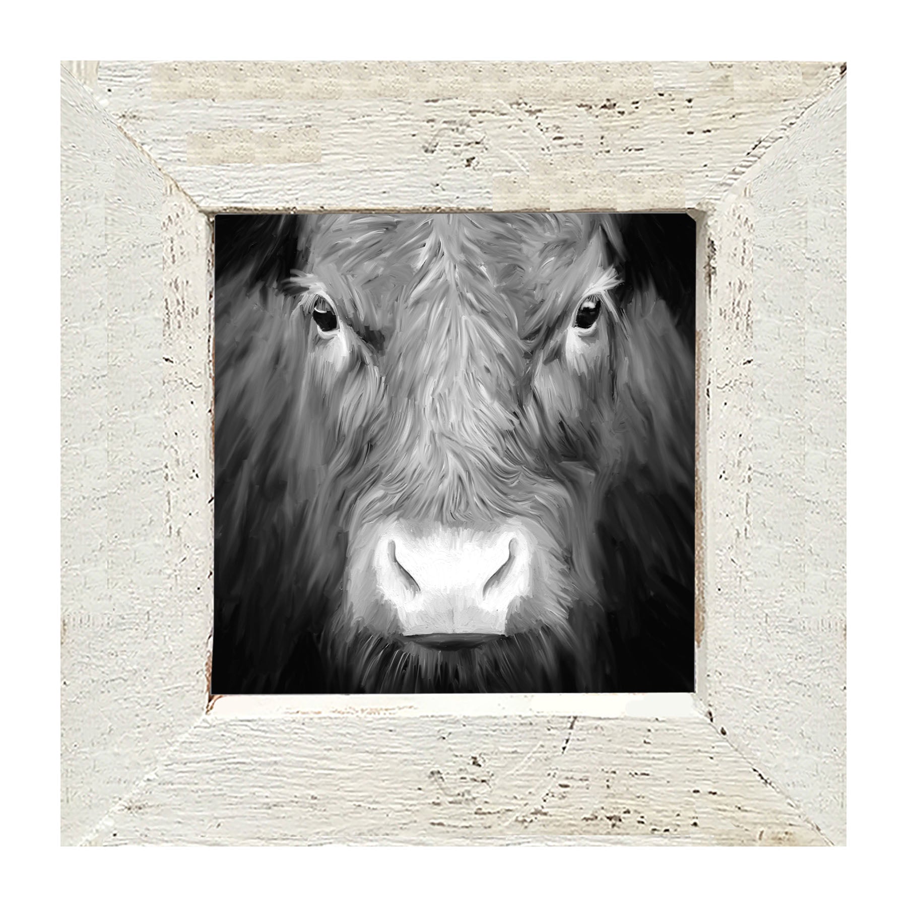 Black and White Cow - Framed art