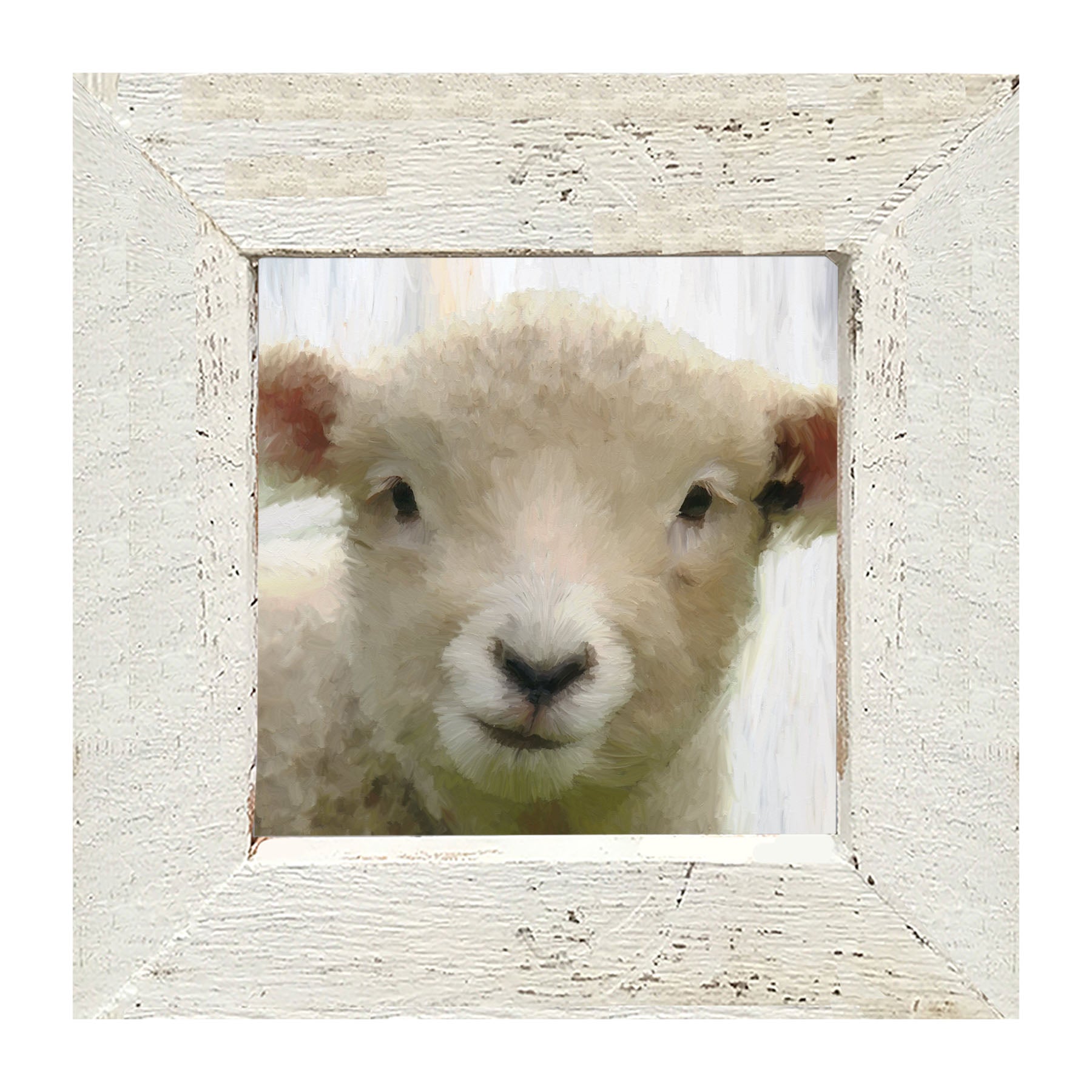 Baby Lamb- Framed art