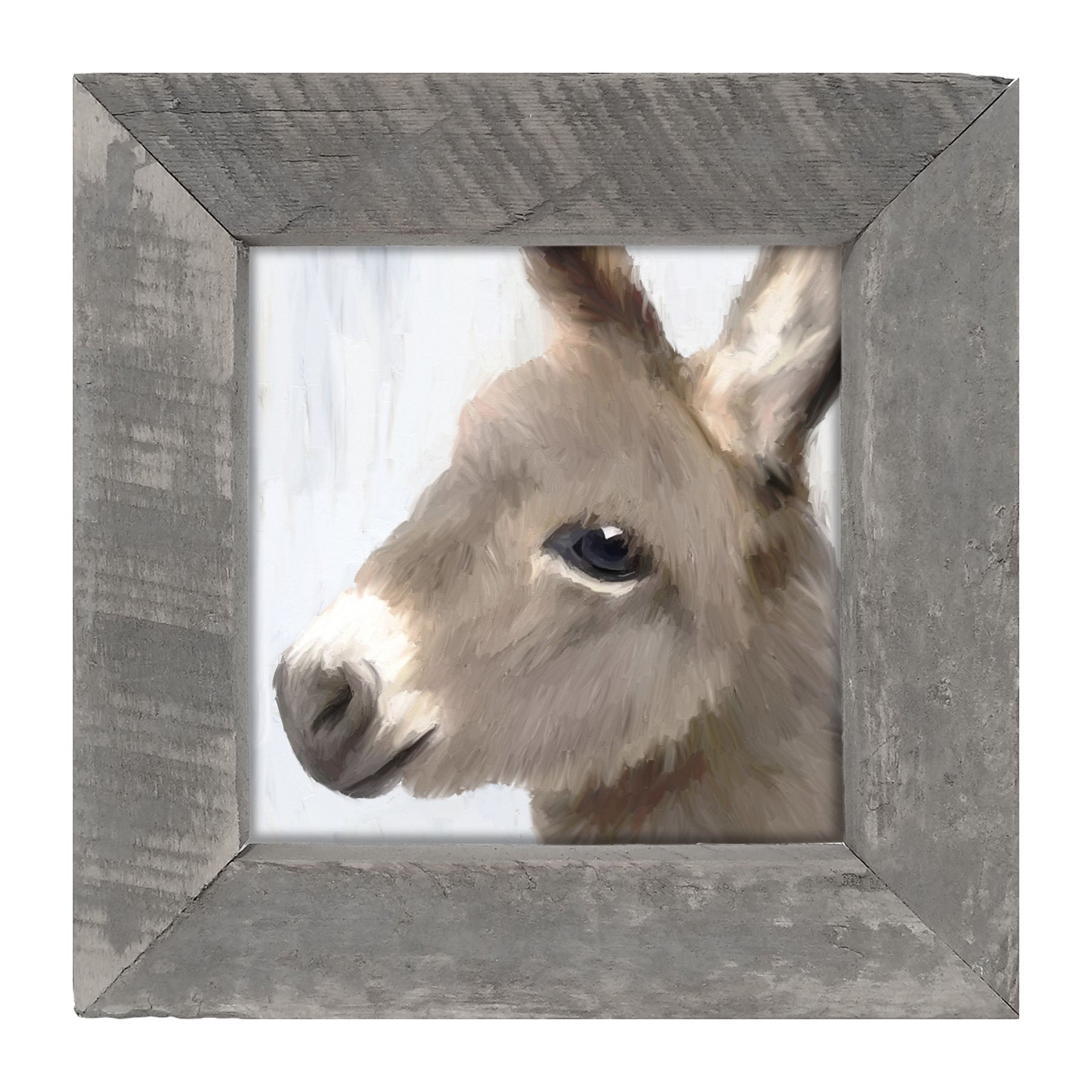 Baby Donkey - Framed art