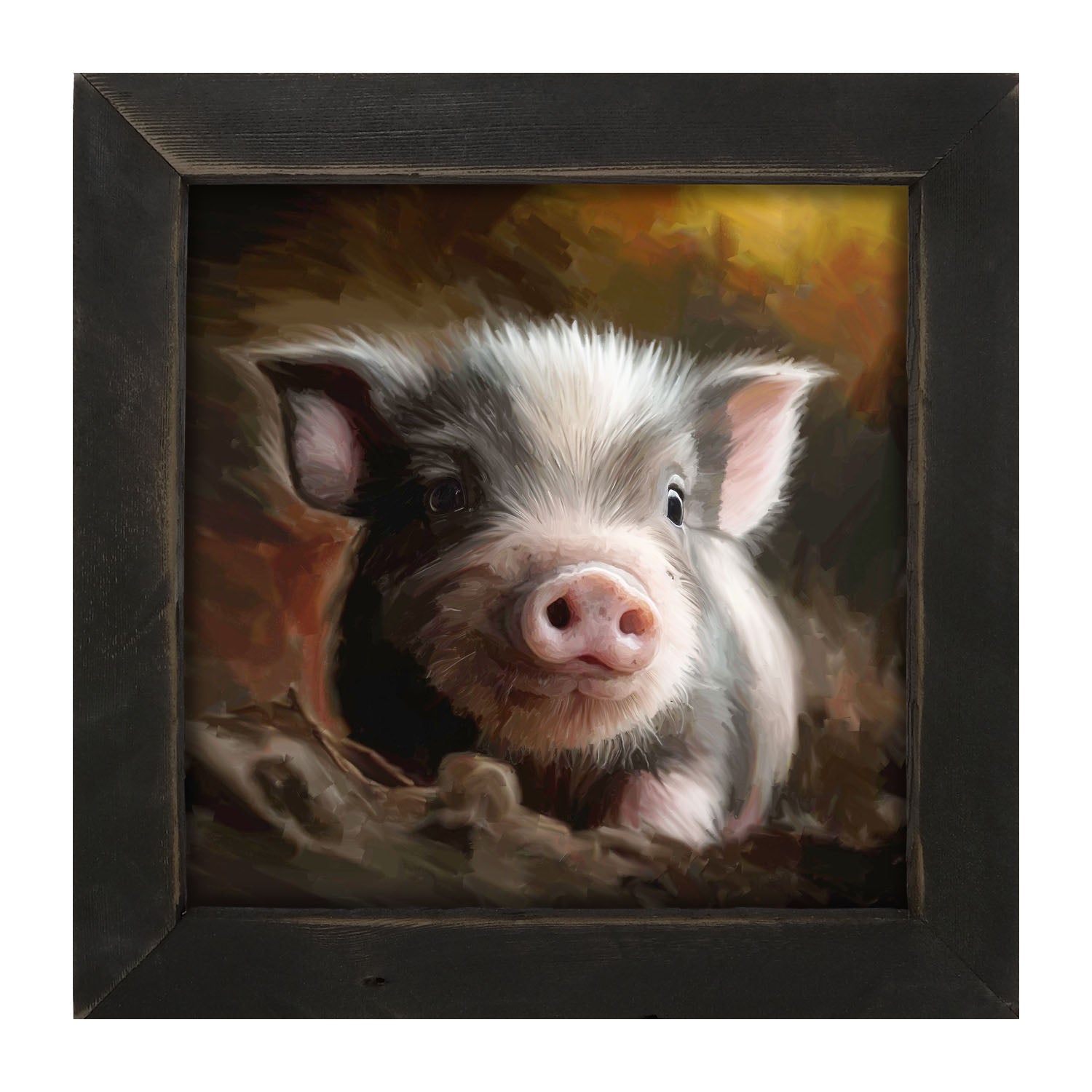 Baby pig - Framed art