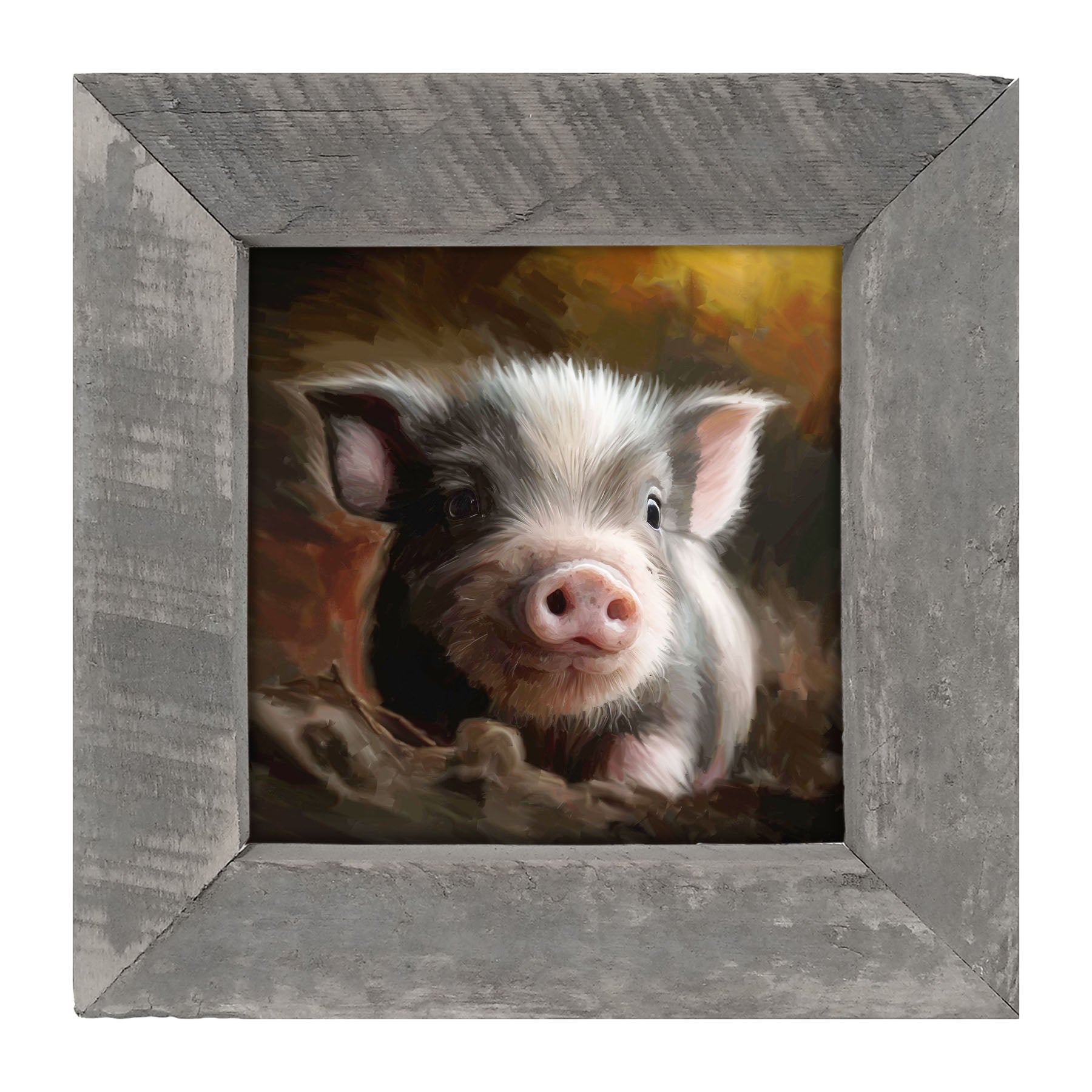 Baby pig - Framed art