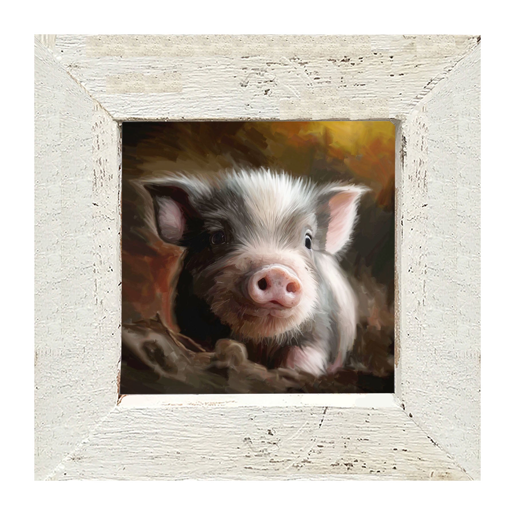 Baby pig - Framed art