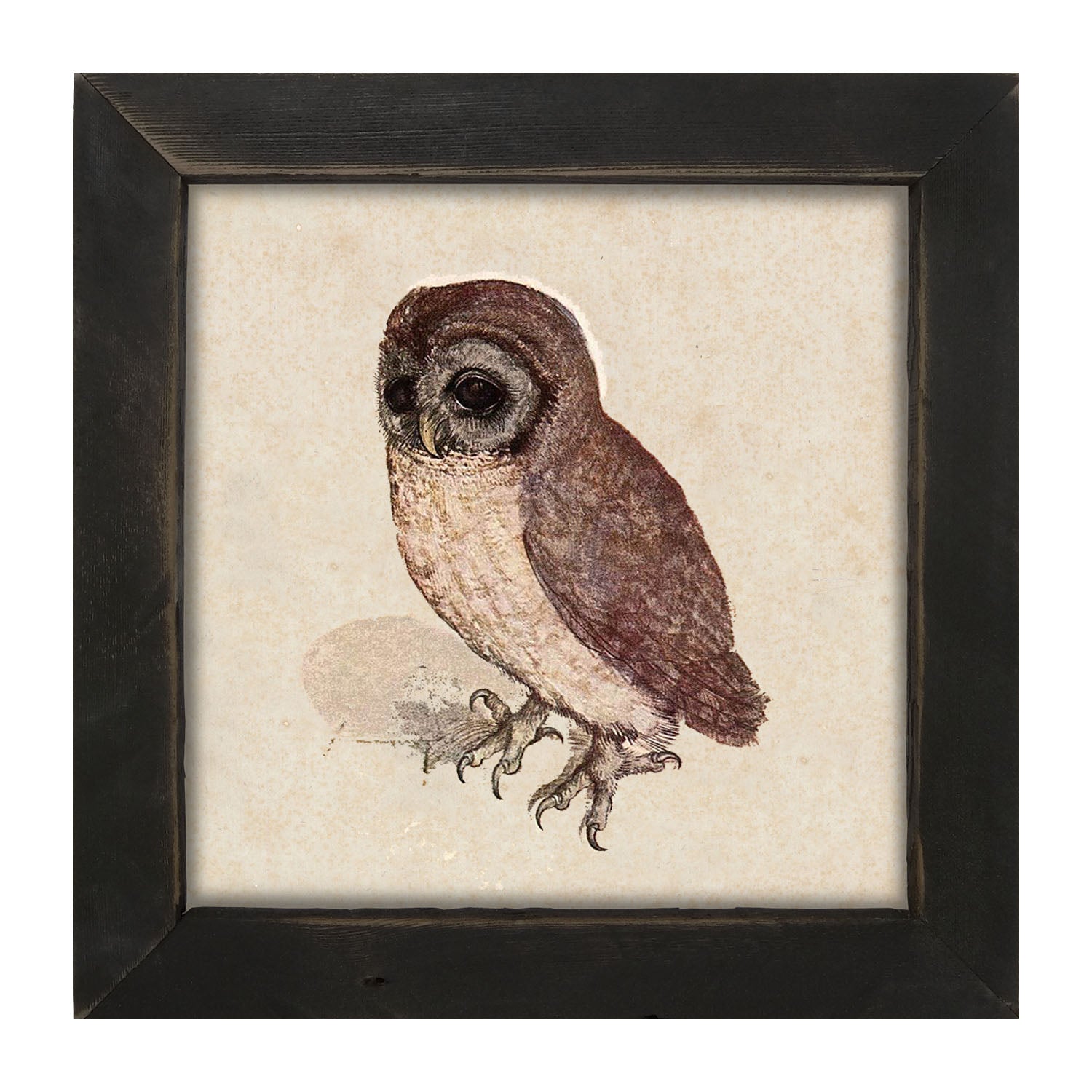 Vintage owl - Framed art