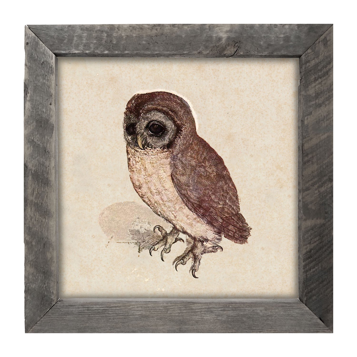 Vintage owl - Framed art