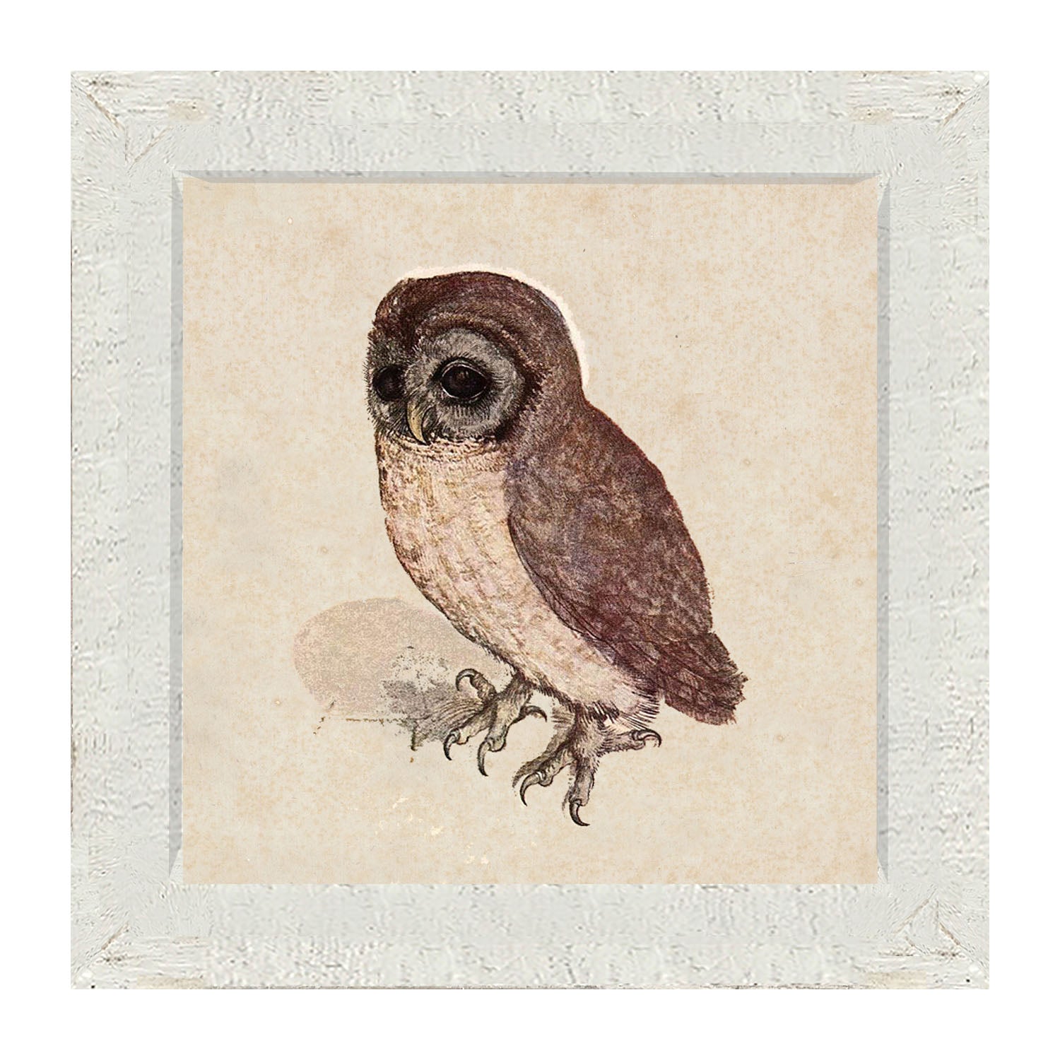 Vintage owl - Framed art