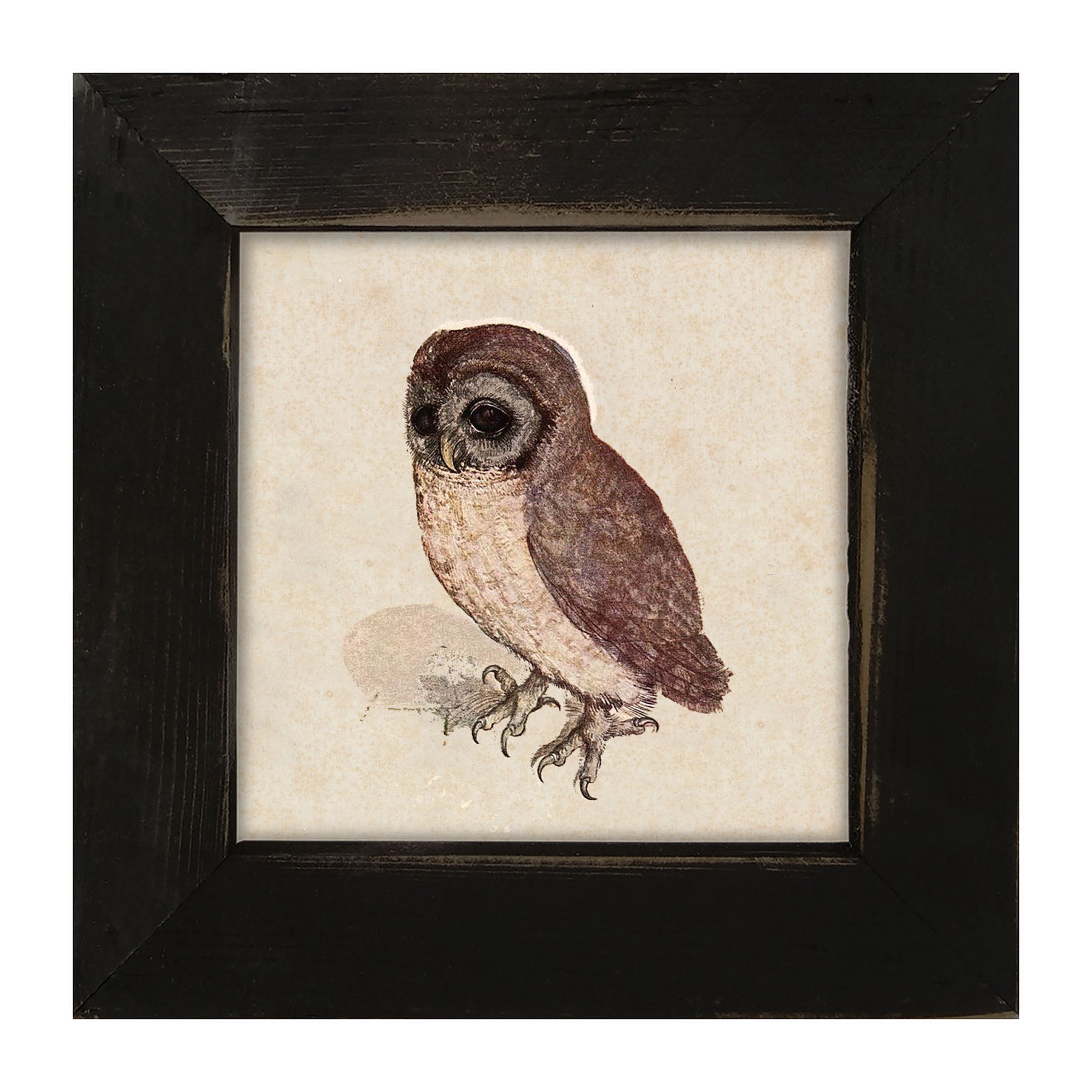 Vintage owl - Framed art