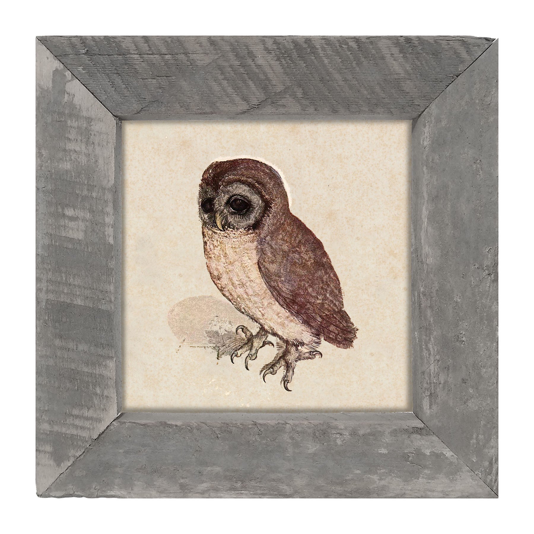 Vintage owl - Framed art