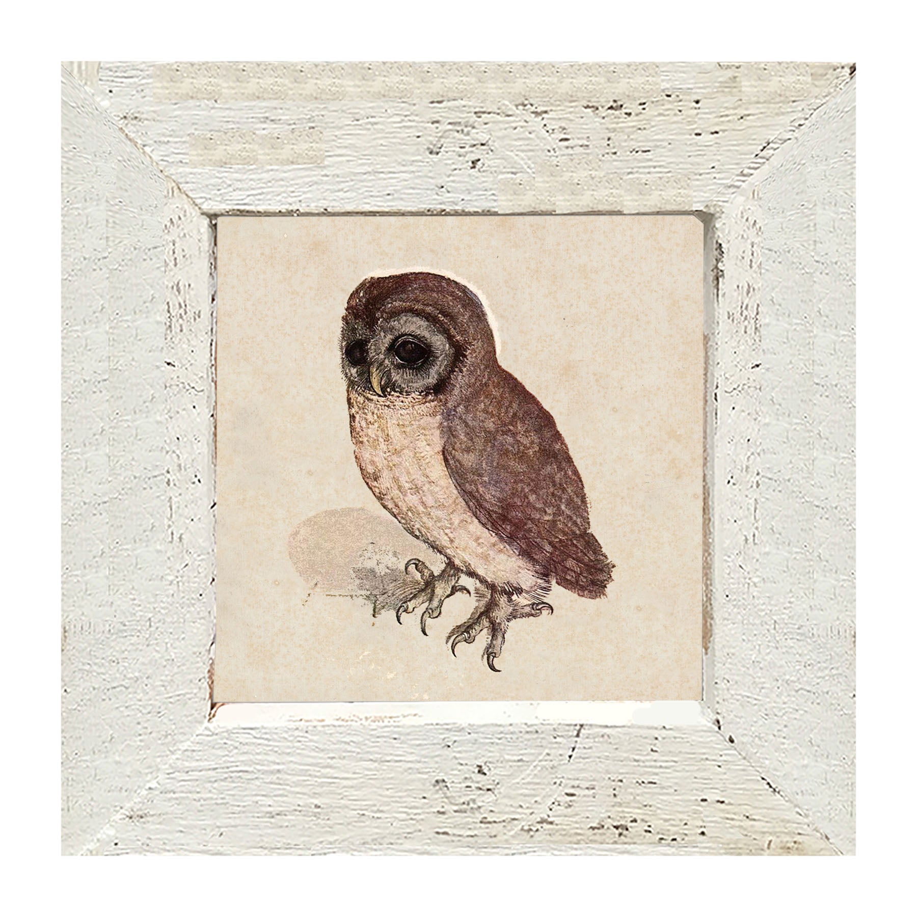 Vintage owl - Framed art
