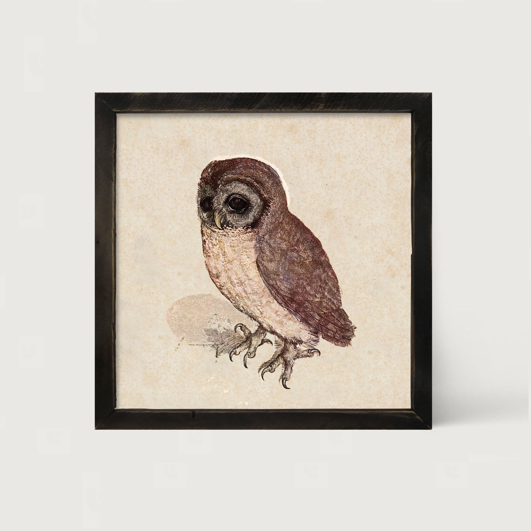 Vintage owl - Framed art