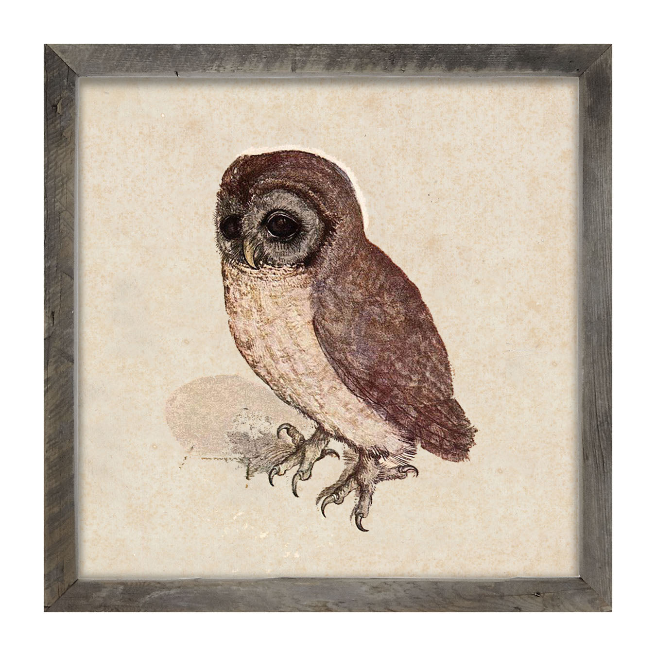 Vintage owl