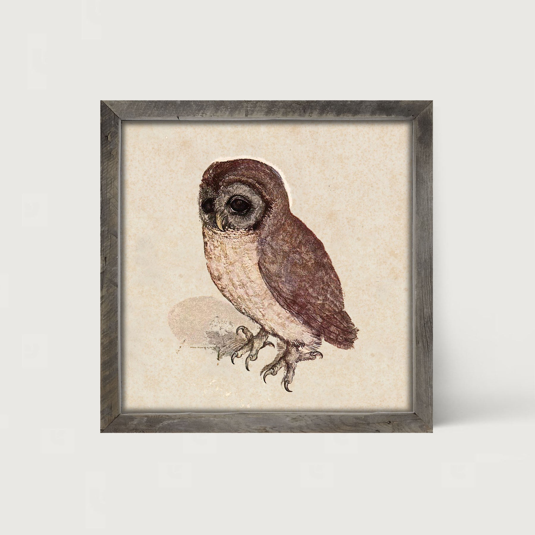 Vintage owl - Framed art