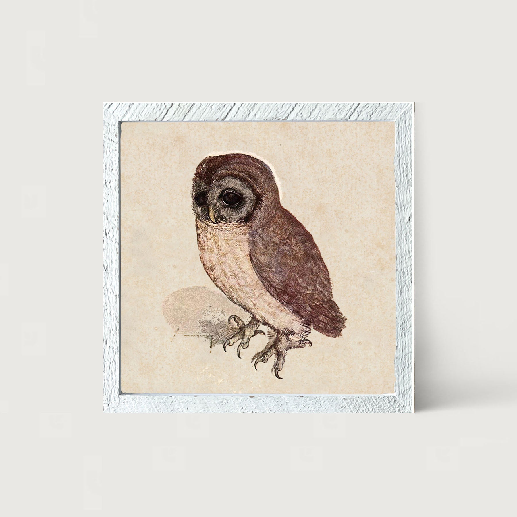 Vintage owl - Framed art
