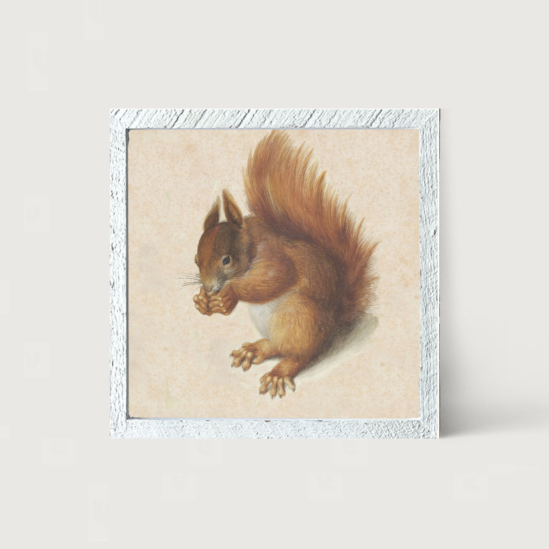 Vintage Squirrel - Framed art
