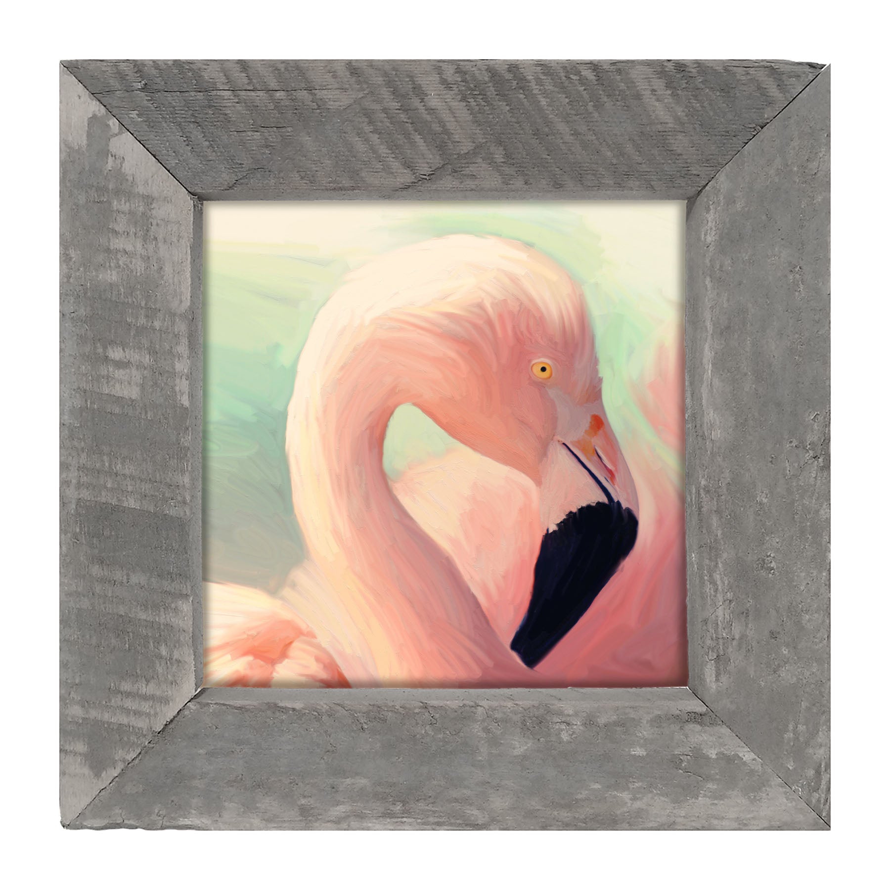 Flamingo Portrait - Framed art