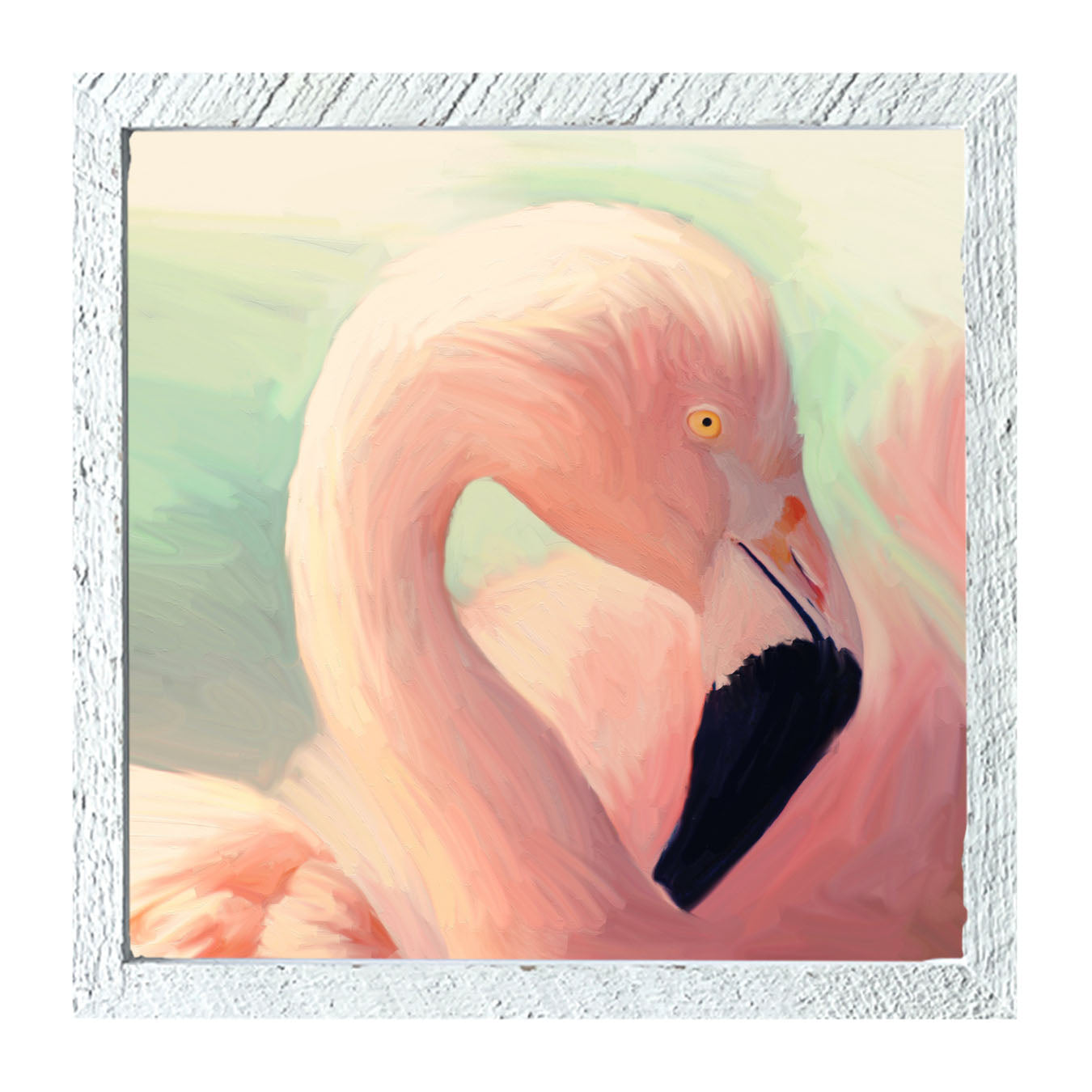 Flamingo Portrait - Framed art