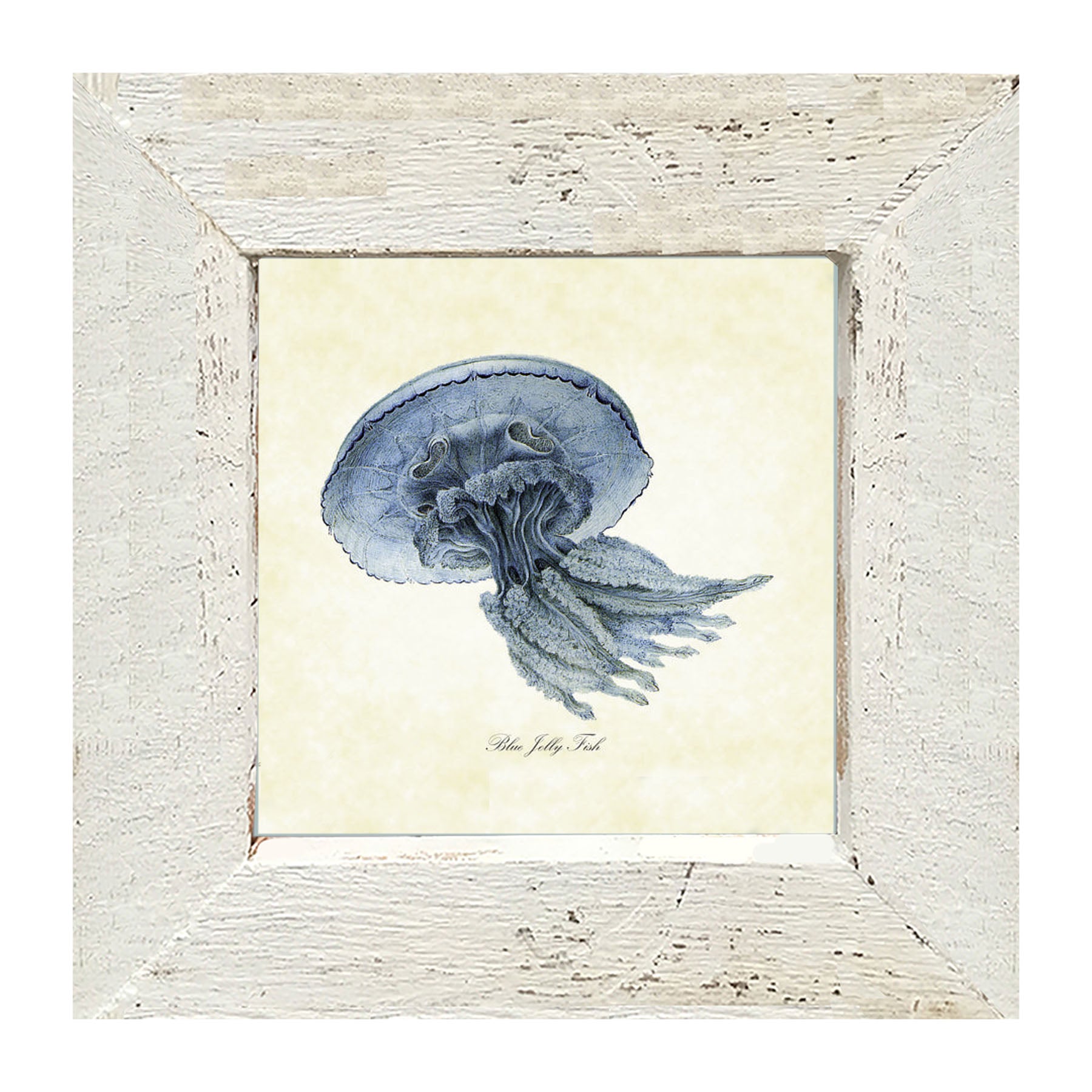 Blue Jelly Fish - Framed art