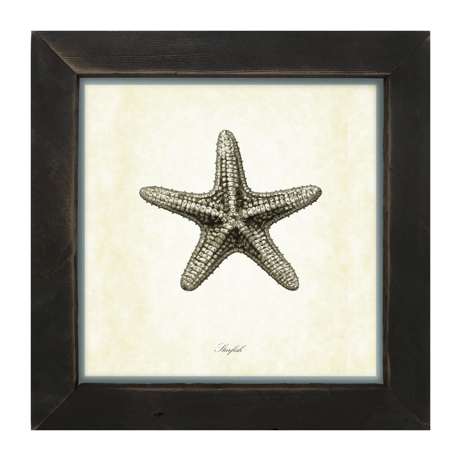 Gray Starfish - Framed art