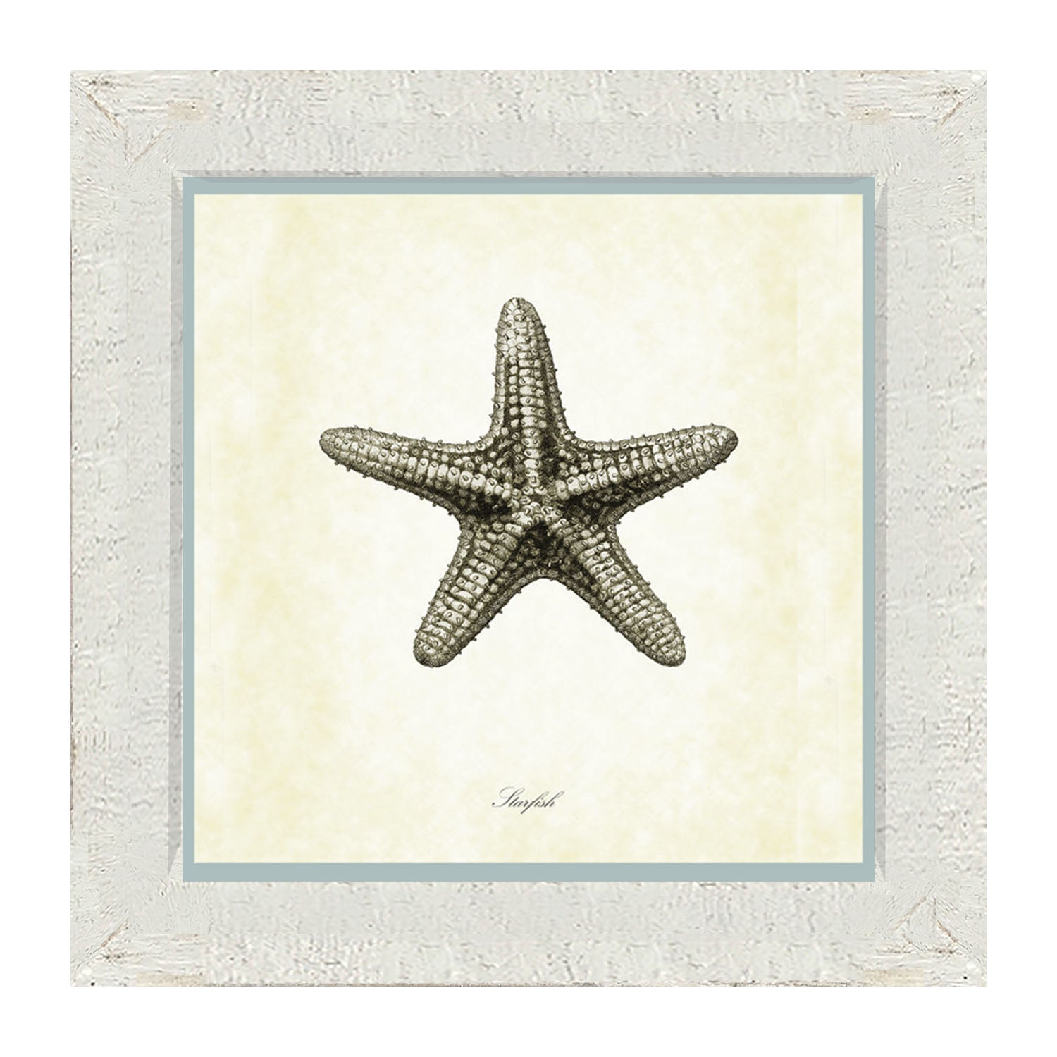 Gray Starfish - Framed art