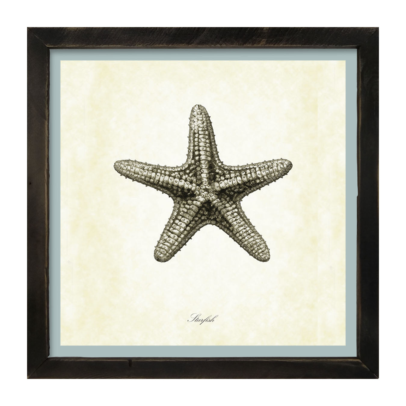 Gray Starfish - Framed art
