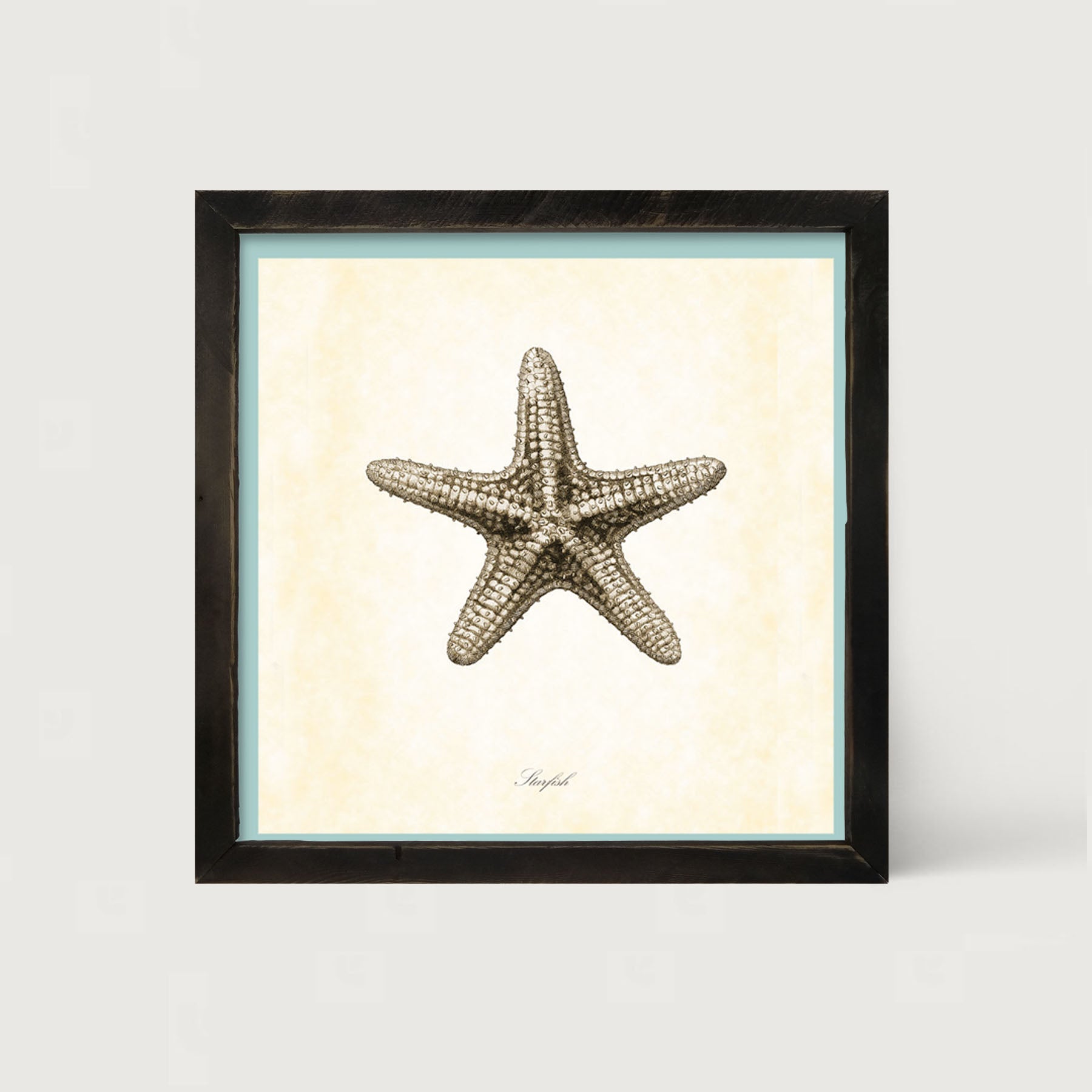 Gray Starfish - Framed art