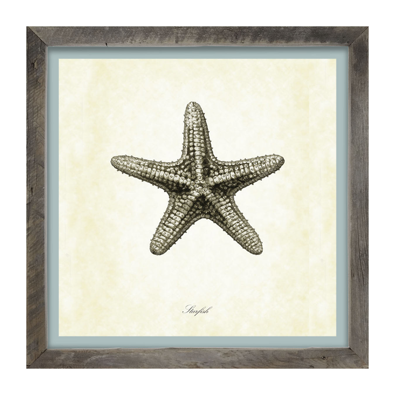 Gray Starfish - Framed art
