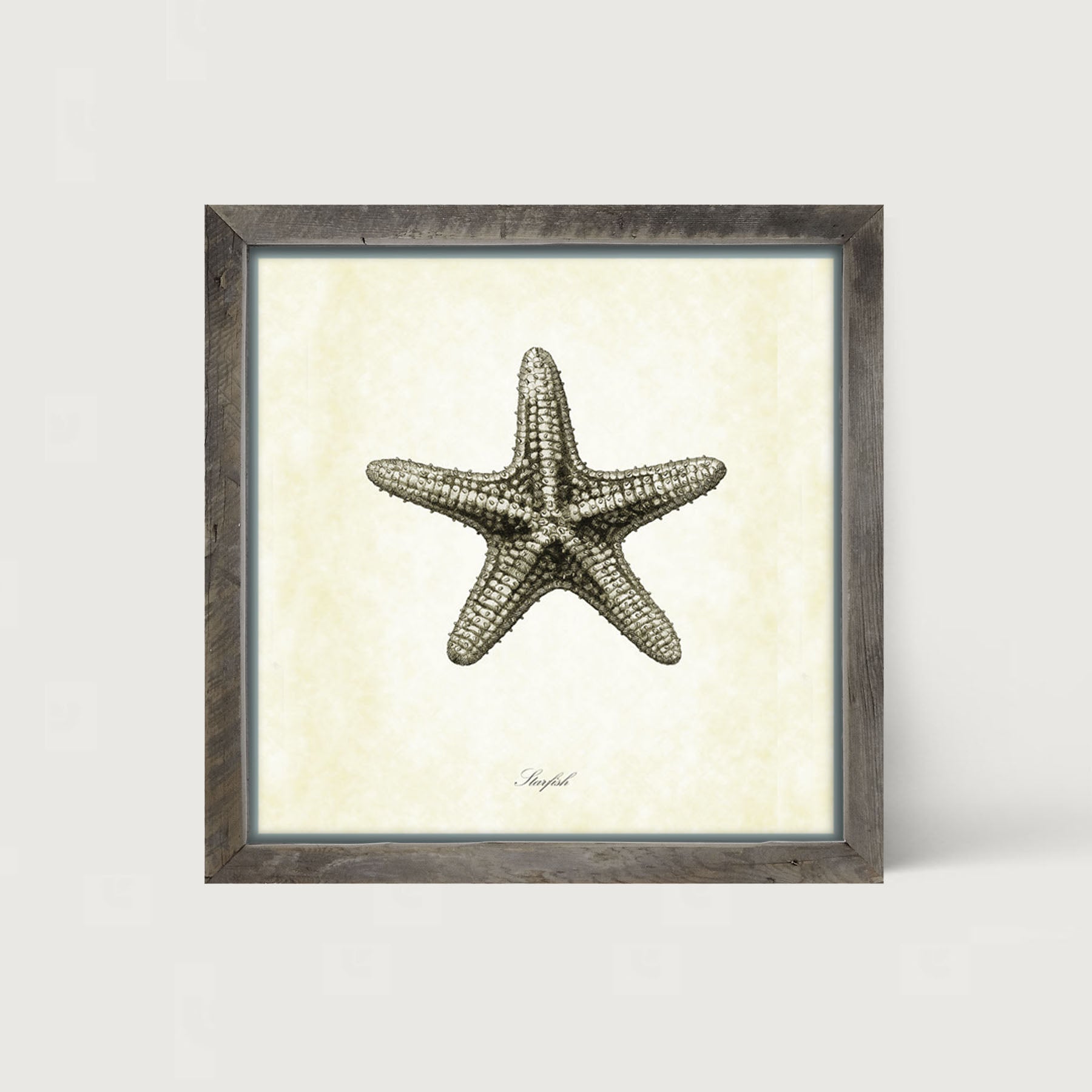 Gray Starfish - Framed art